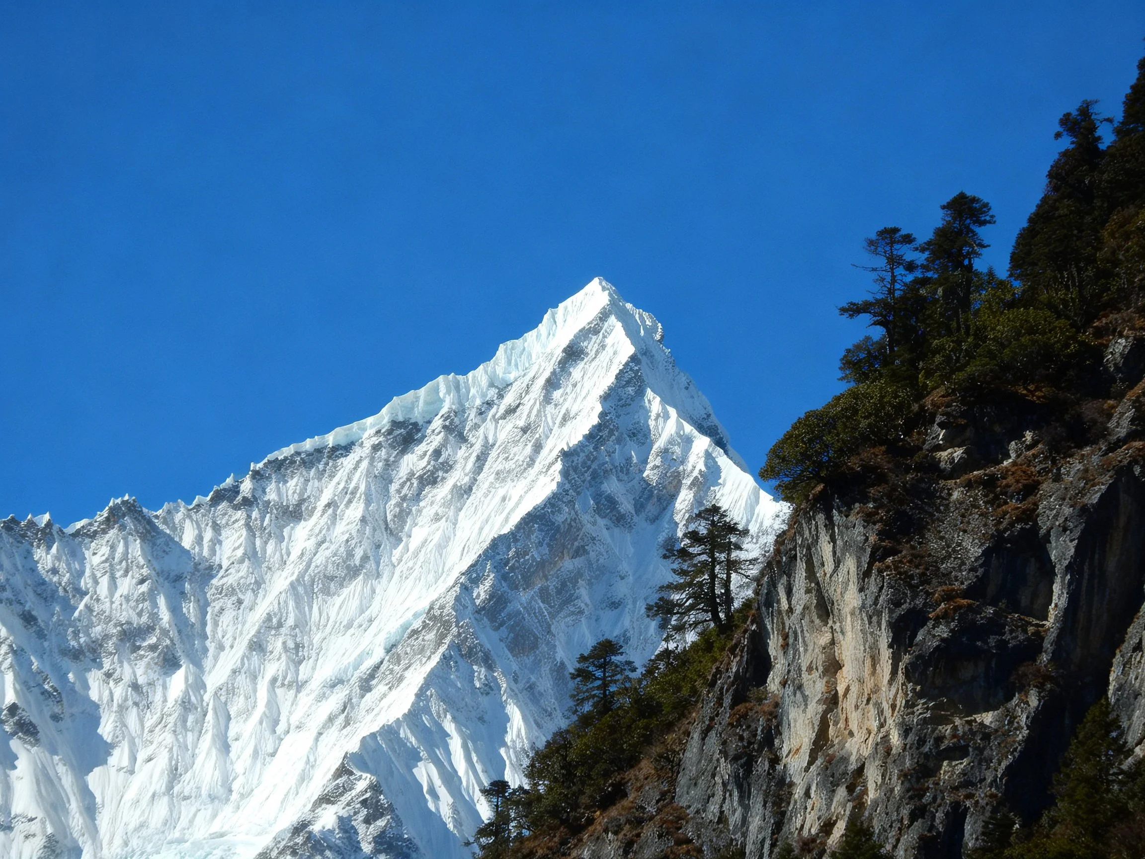 Snow-capped mountain peak towers over rocky cliffside with evergreen trees under clear blue sky