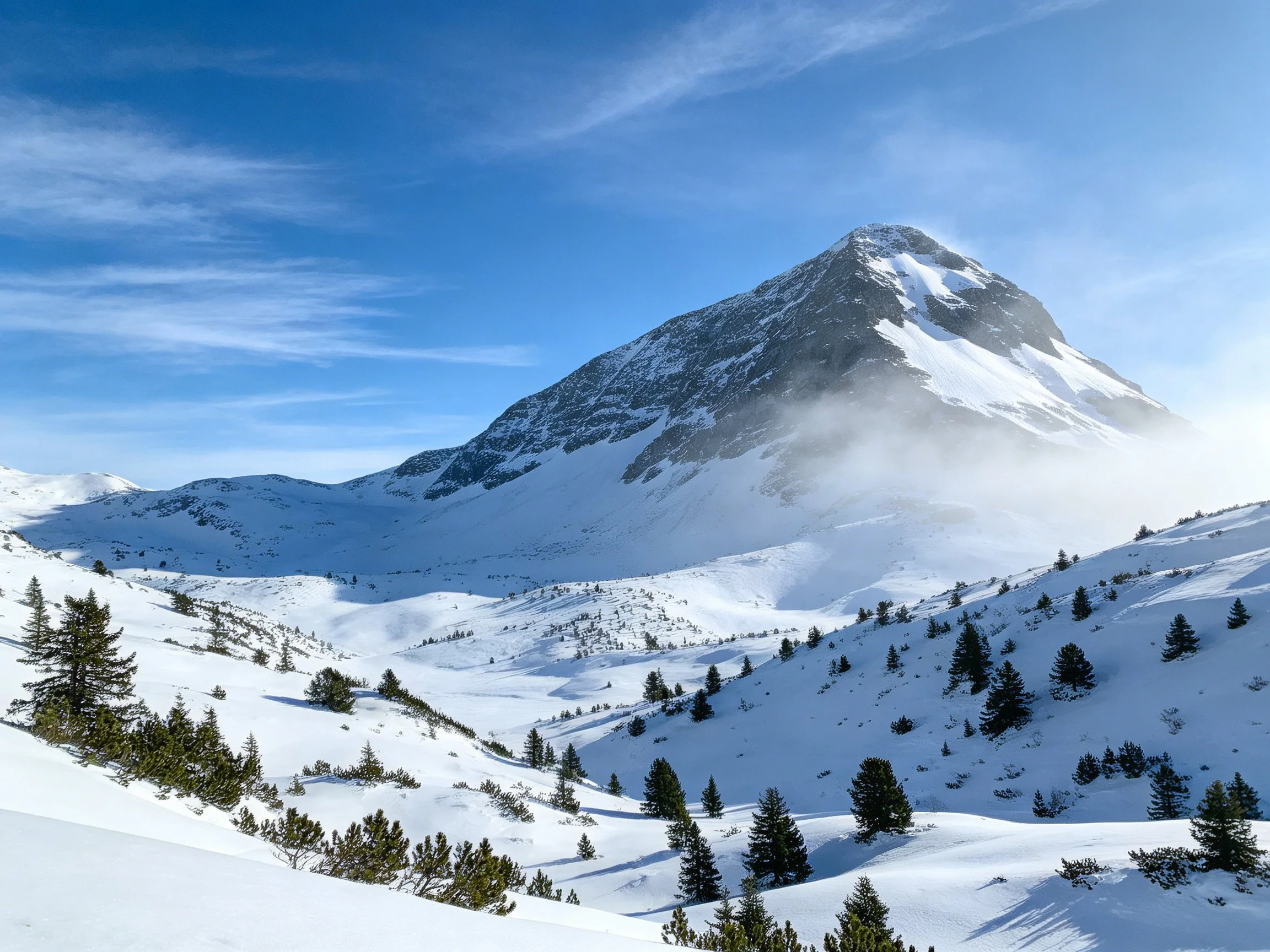 Snow - capped mountain peak with snowy terrain and evergreen trees