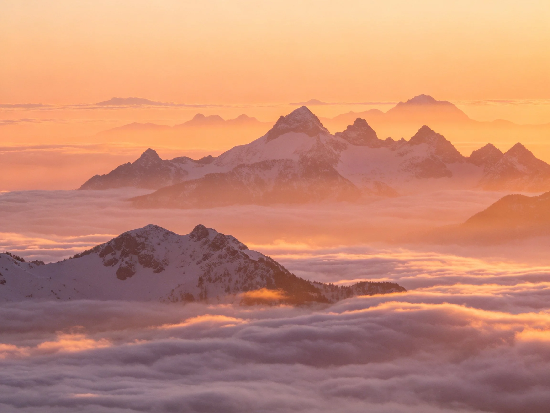 Snow-capped mountain peaks glow amid golden cloud sea at dawn