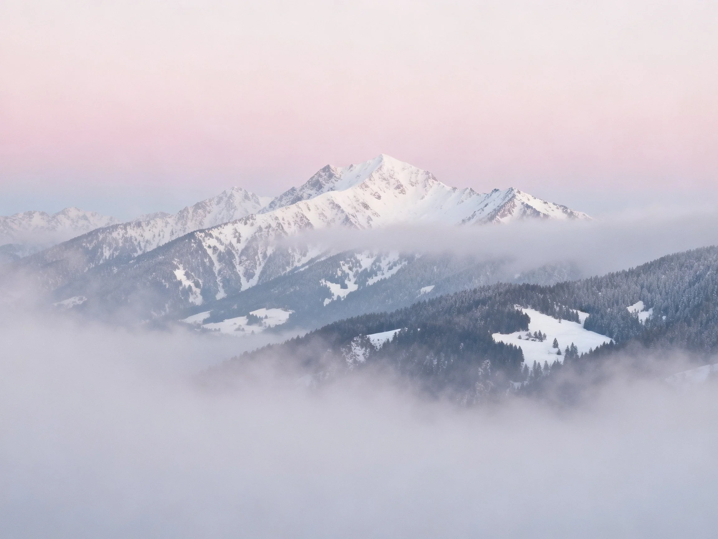Snow-capped mountain peaks rise above misty forest valleys under soft pink skies