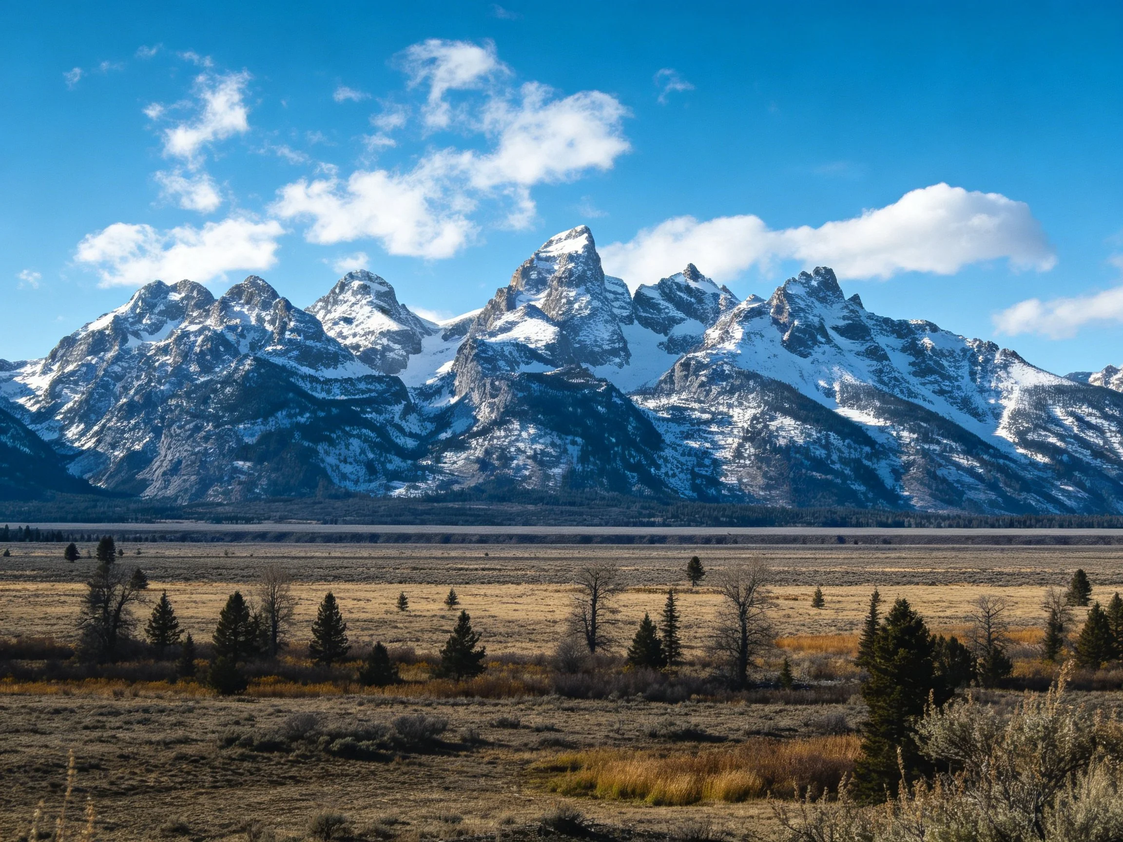 Snow-capped mountain peaks tower over an expansive valley with scattered trees