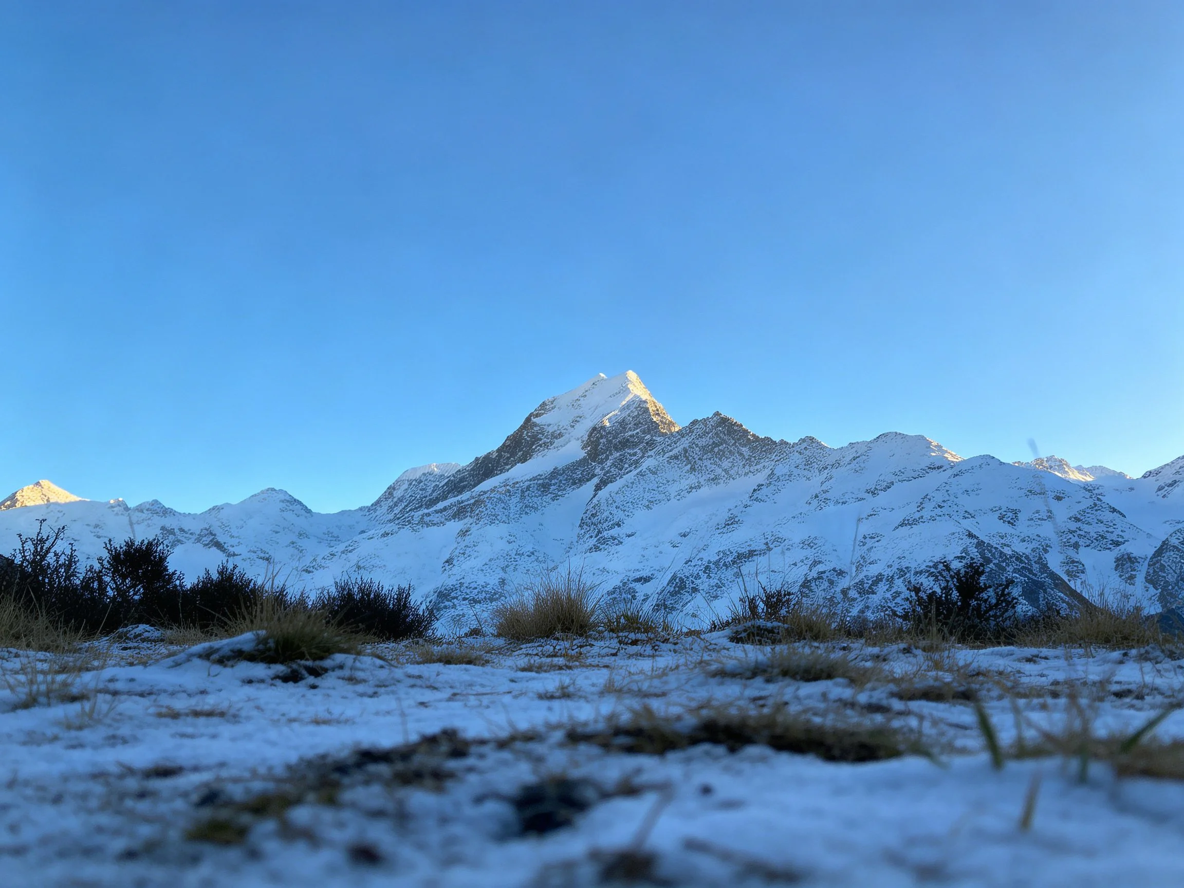 Snow-capped mountain peaks under clear blue sky with frosty foreground vegetation.