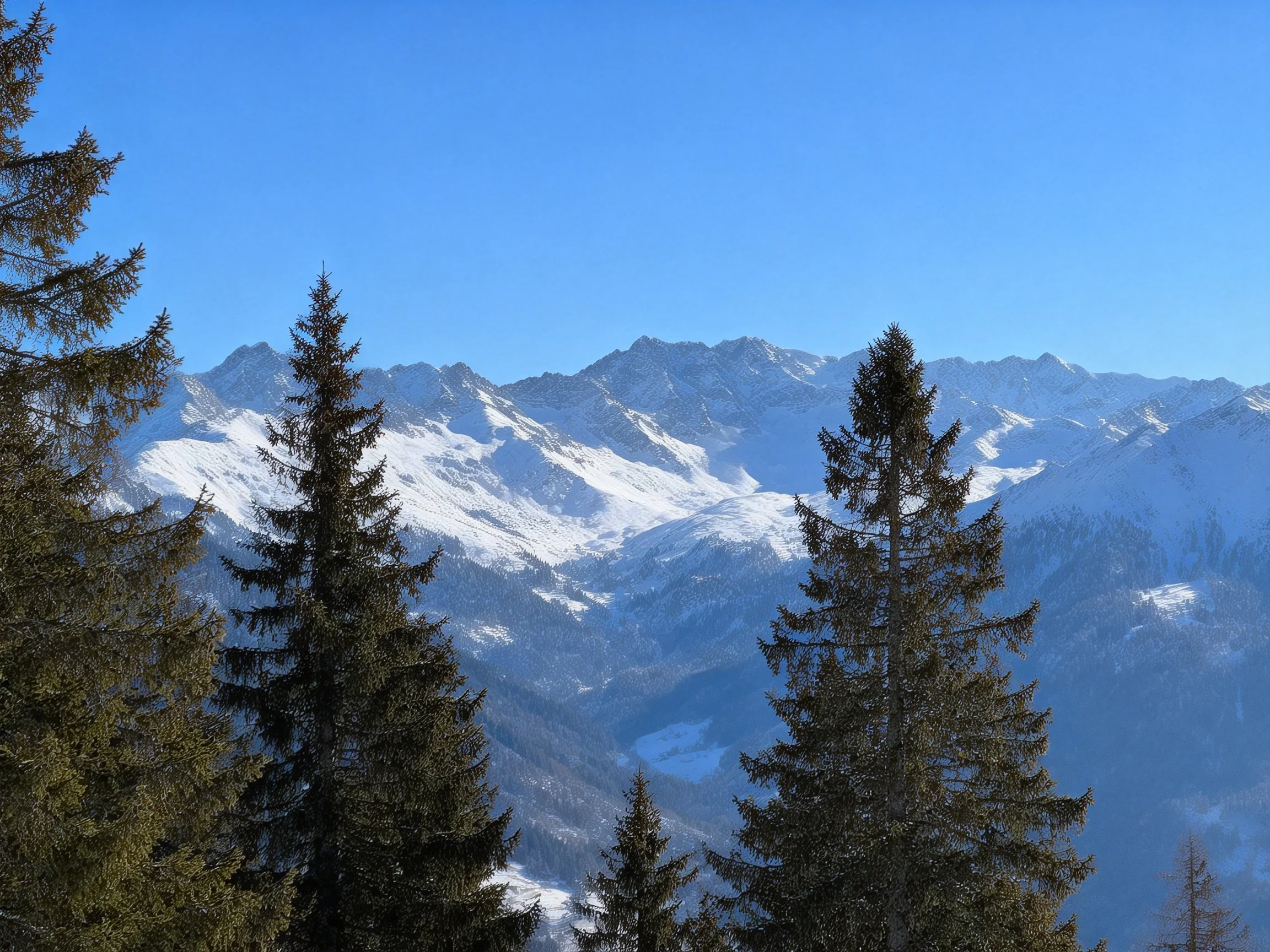 Snow - capped mountain peaks with evergreen trees under a clear blue sky