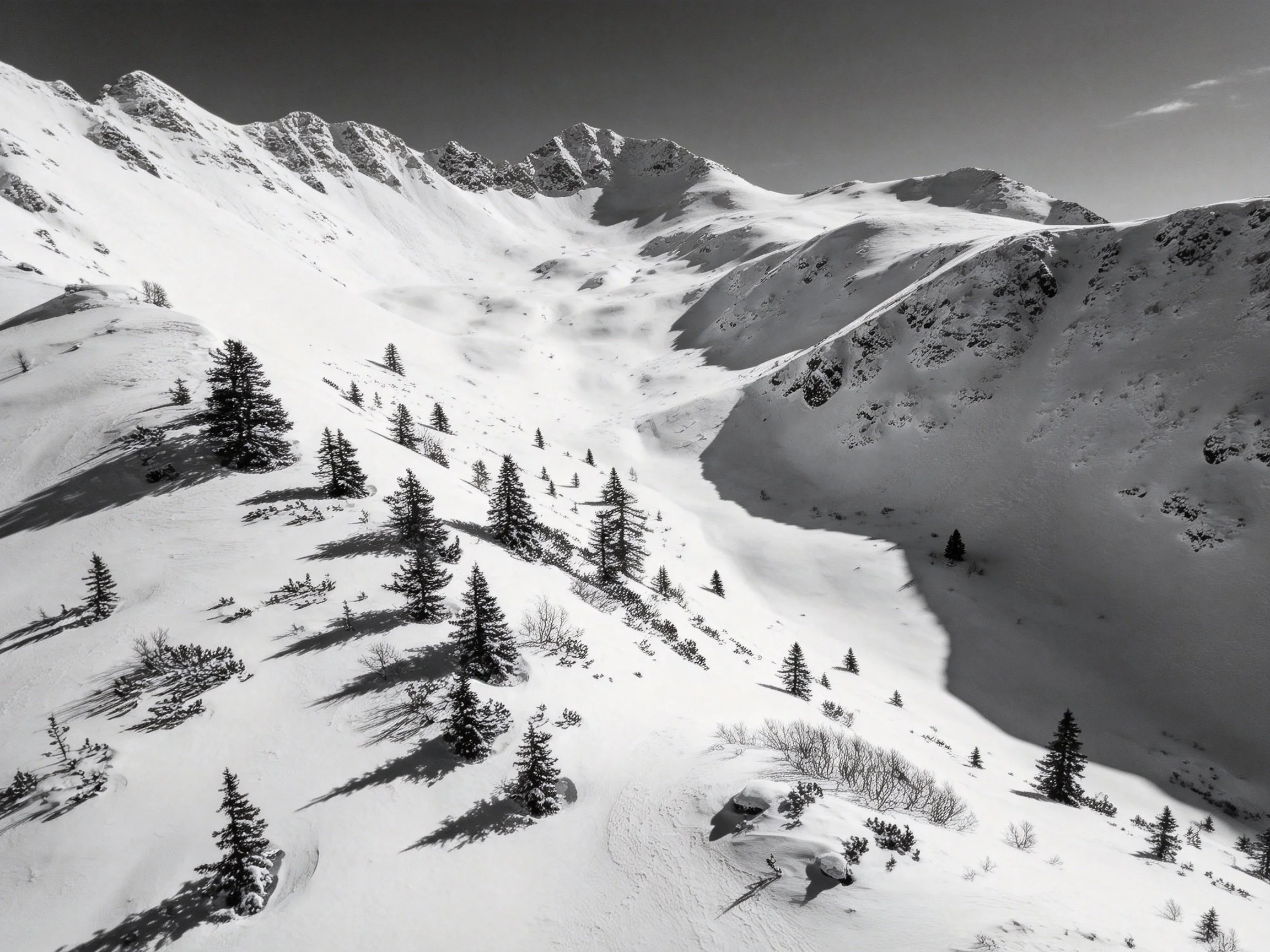 Snow-capped mountain slopes with scattered evergreen trees