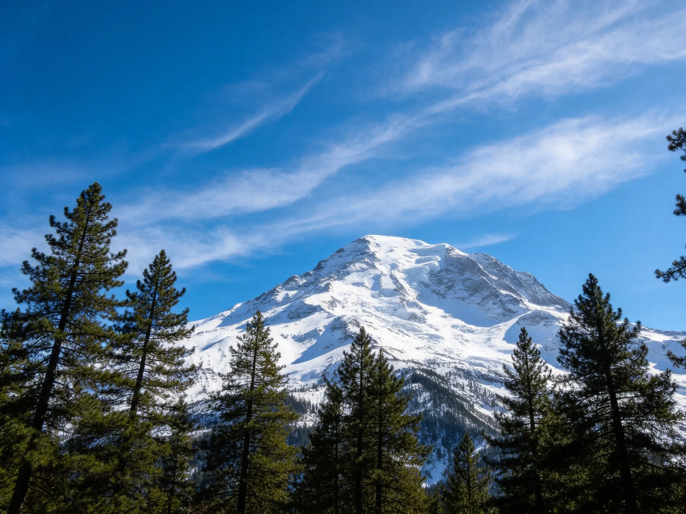 Snow-capped mountain with evergreen forest under bright blue sky