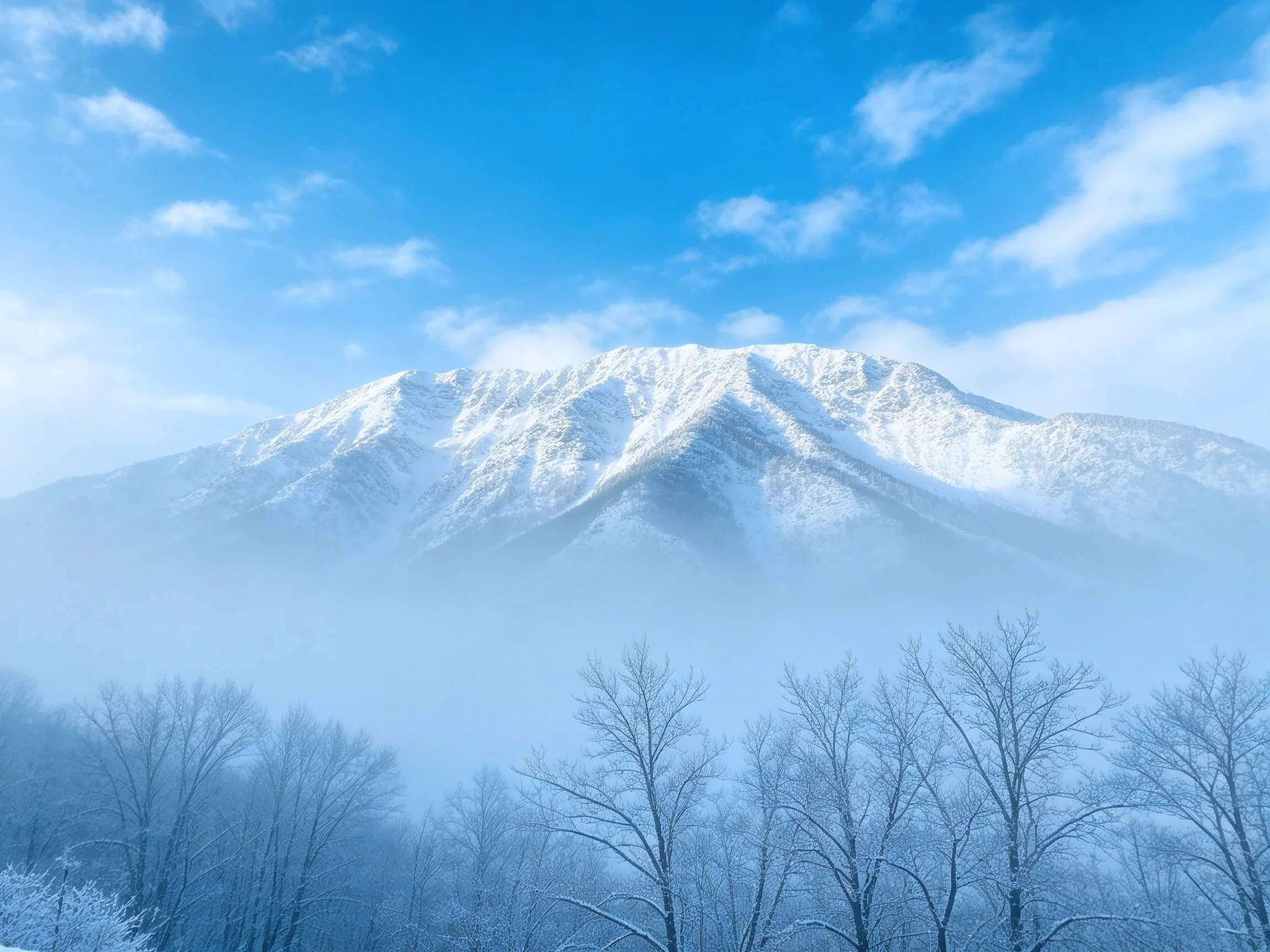 Snow - capped mountain with frosty trees beneath clear blue sky