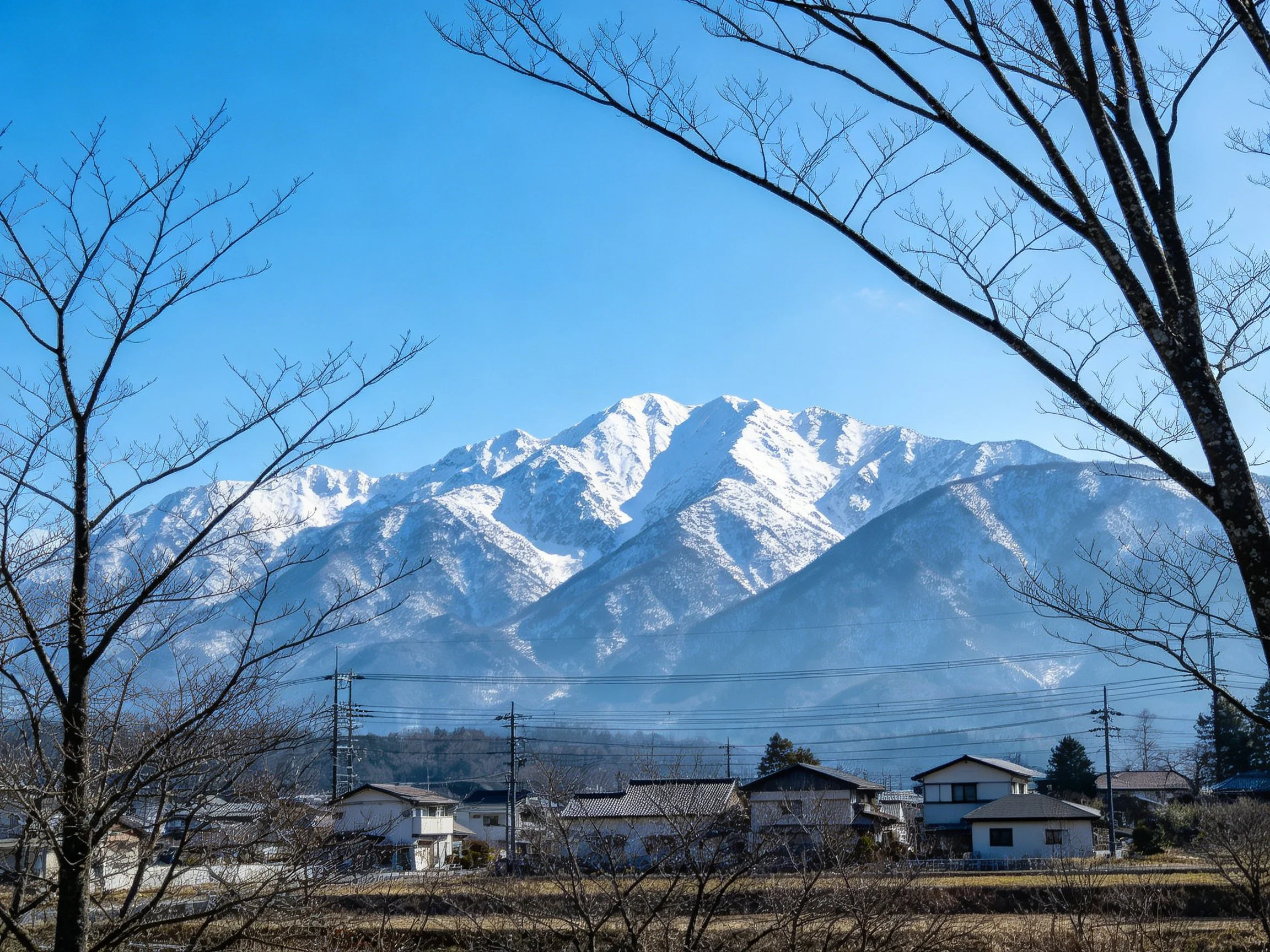 Snow-capped mountains overlook a village with leafless trees.