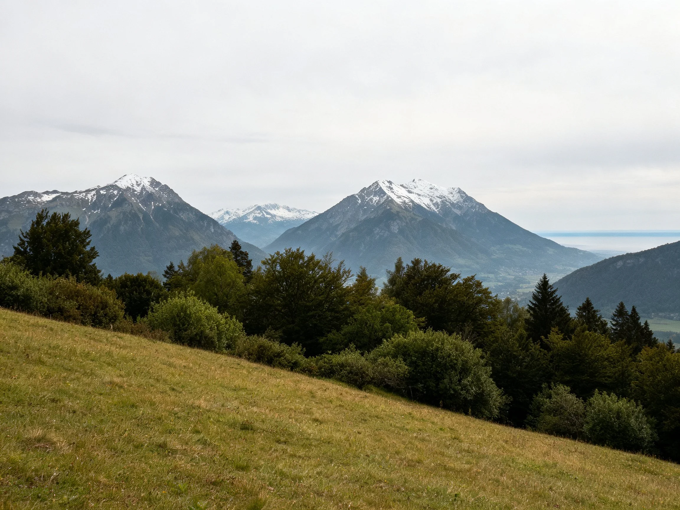 Snow-capped mountains overlook lush forests and grassy slopes.