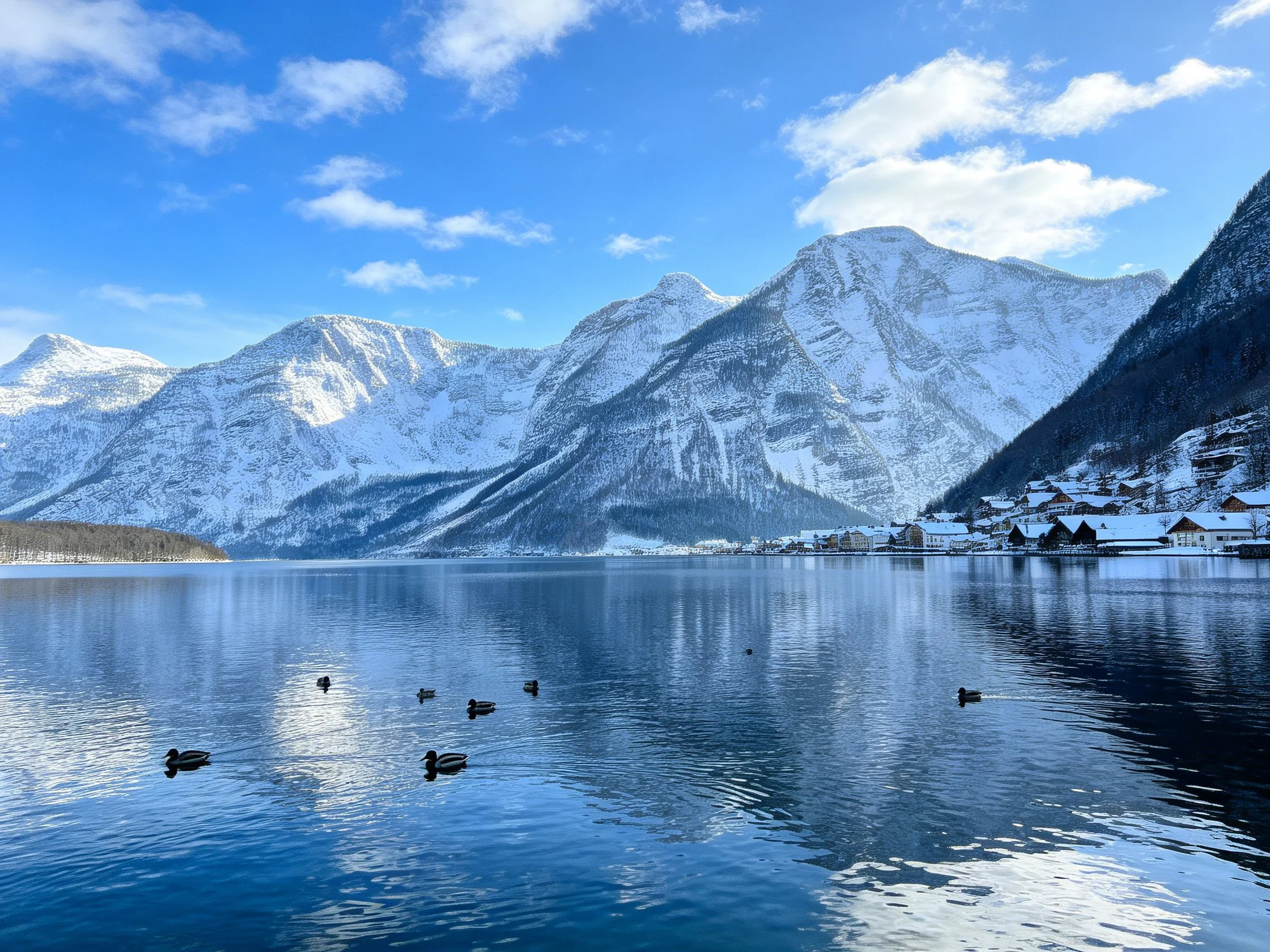 Snow - capped mountains reflect in a serene lake with ducks and alpine homes