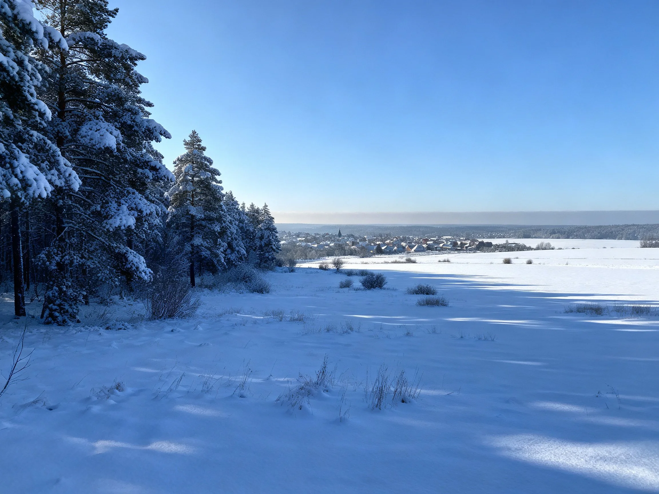 Snow-covered forest edge, open snowy field, distant town under clear blue sky