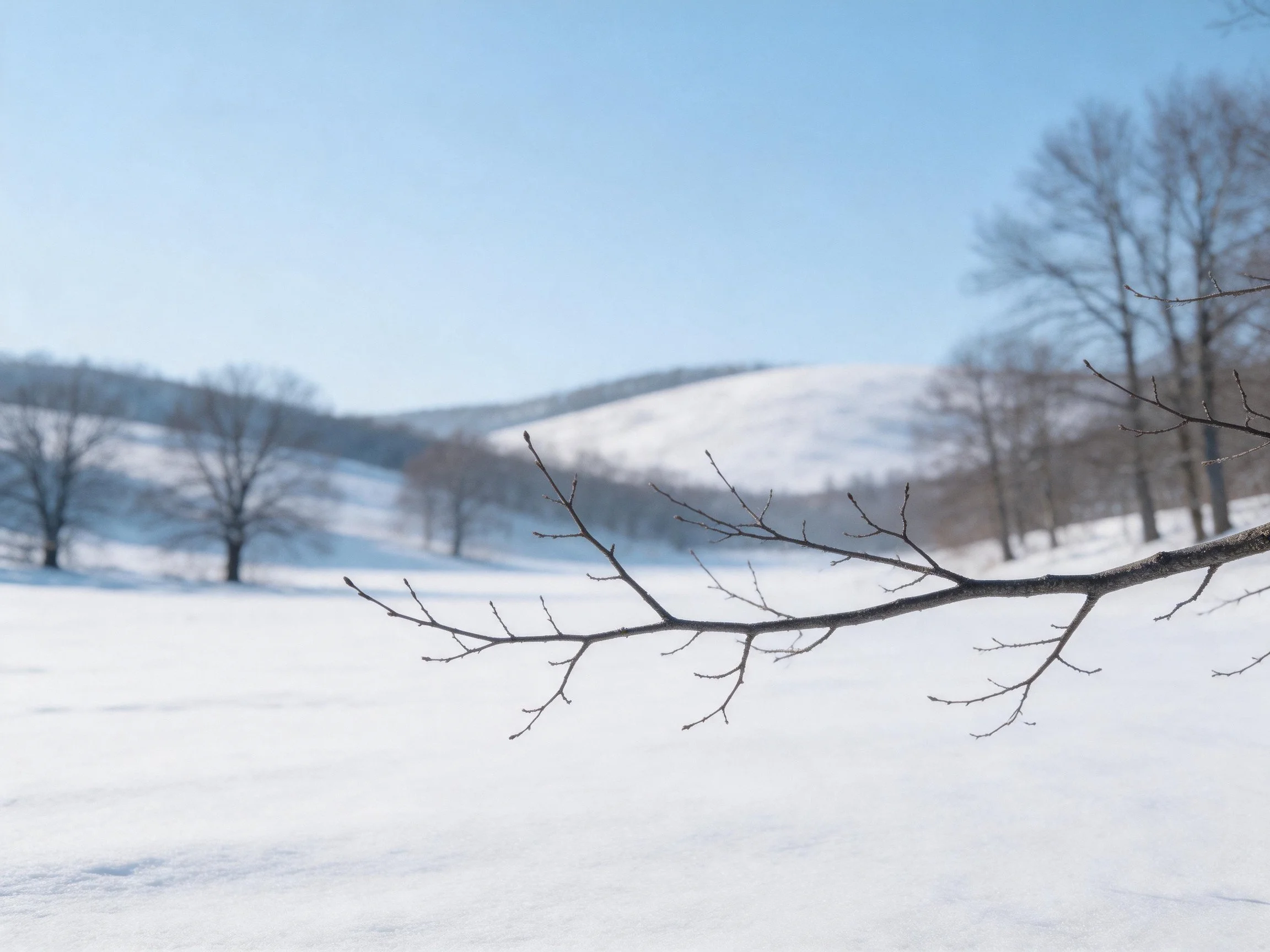 Snow-covered hills with bare tree branches in winter