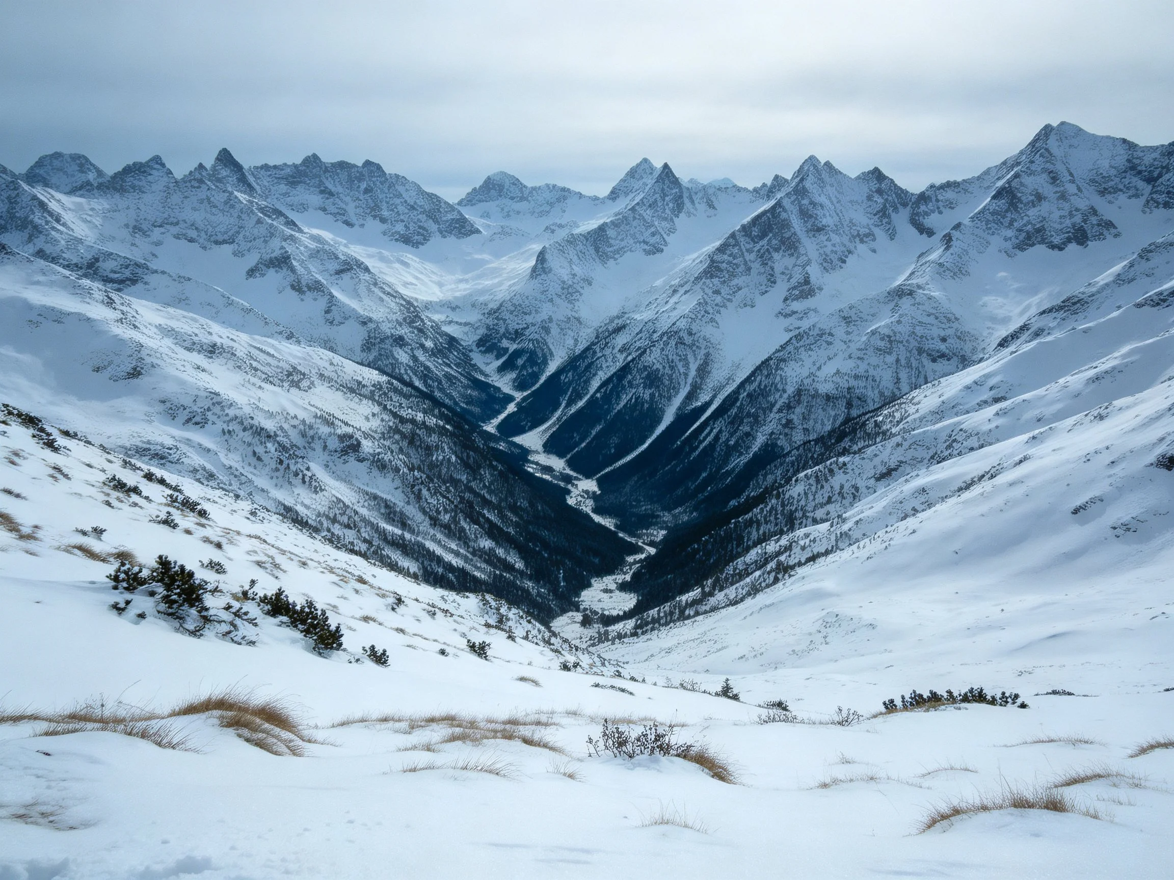 Snow-covered mountain peaks and valleys under an overcast sky