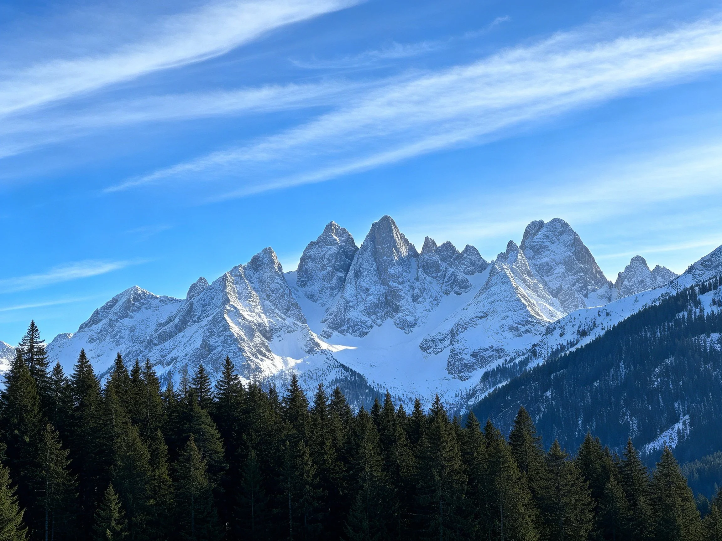 Snow-covered mountain peaks with forest below under clear blue sky