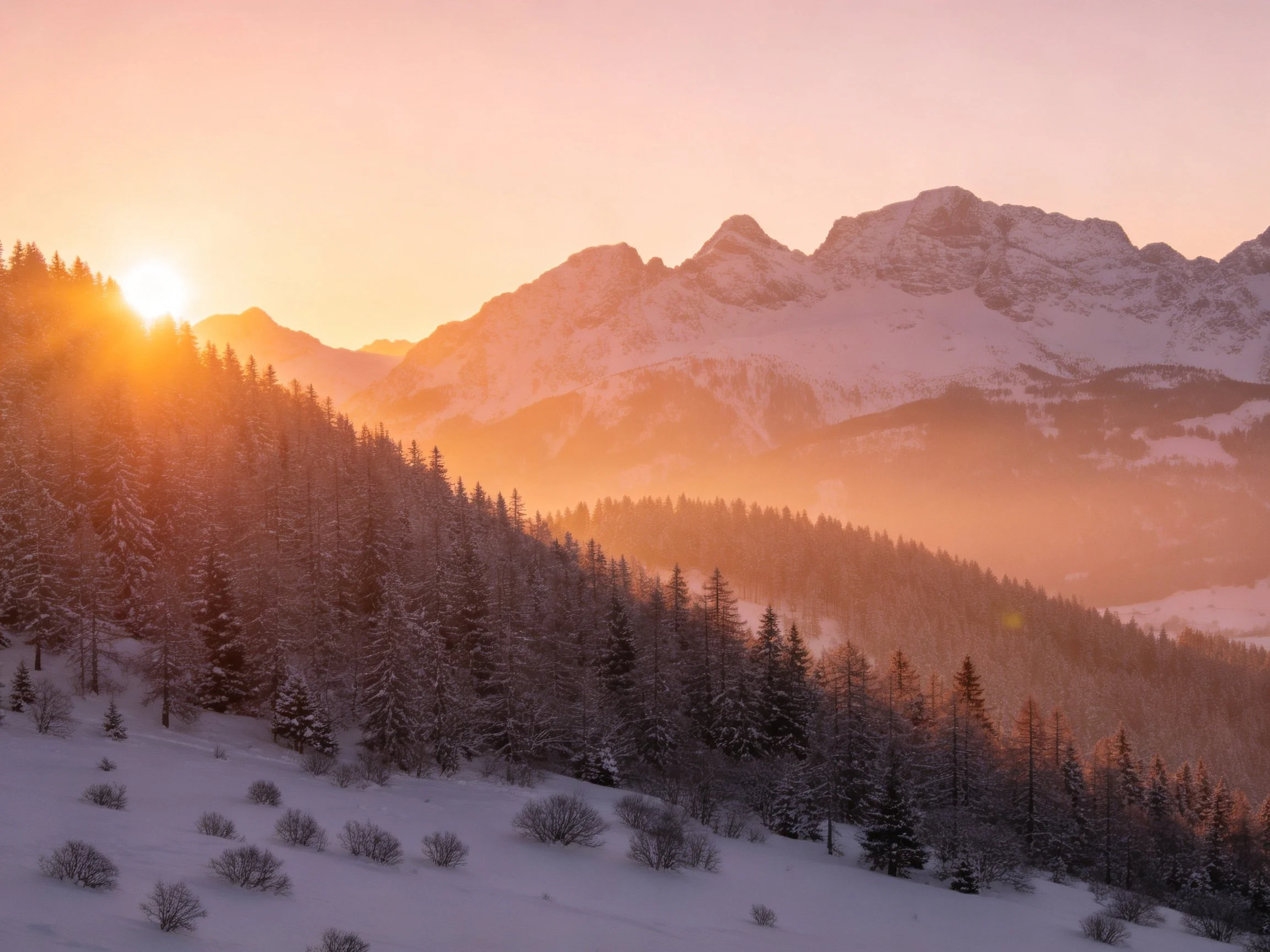 Snow-covered mountains, forested slopes, golden sunrise light