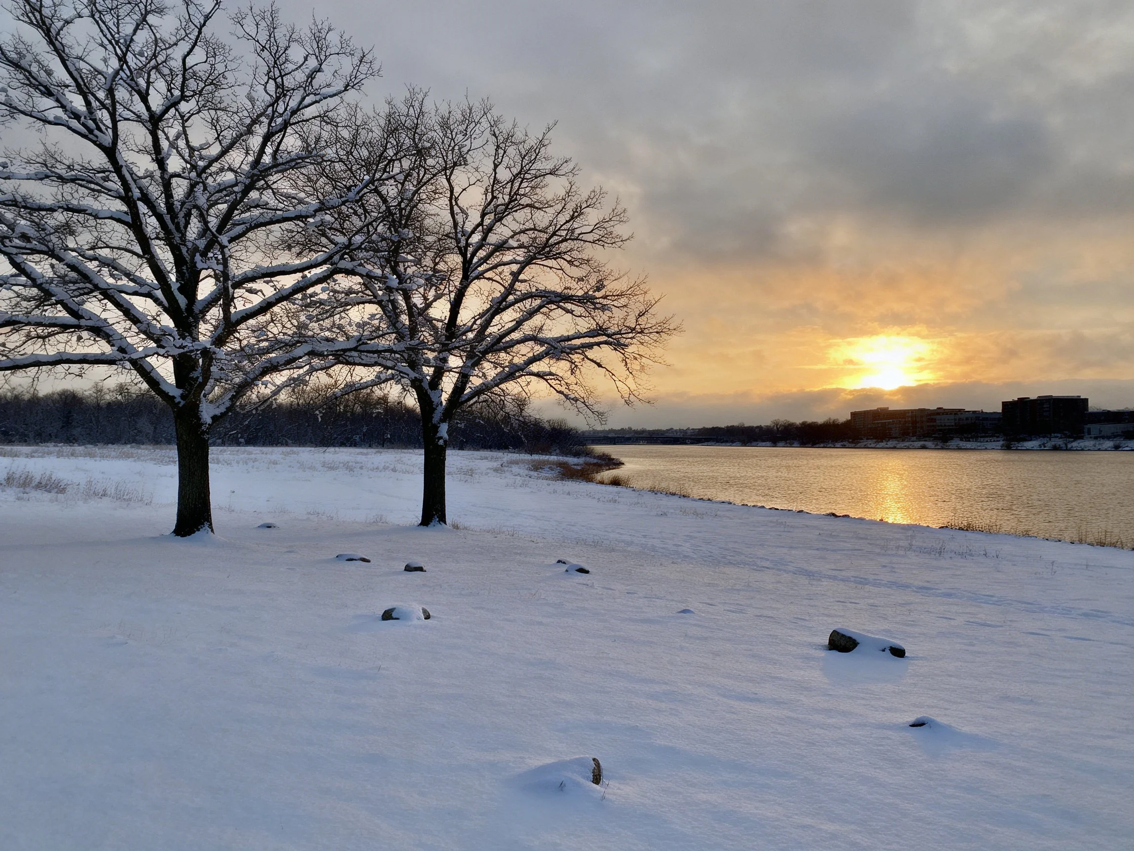 Snow-covered trees by a tranquil river at sunset