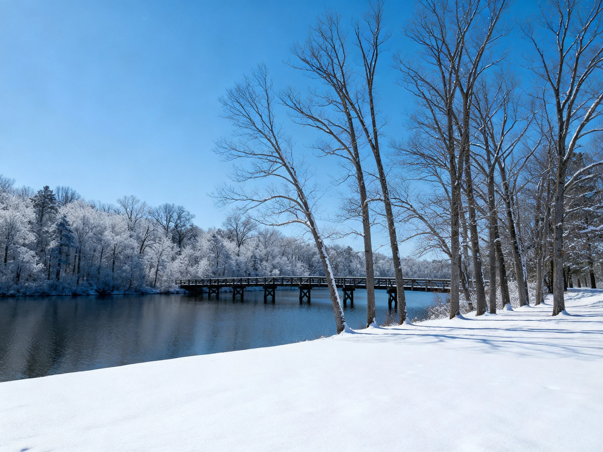 Snow-draped trees near a calm river with a wooden bridge under clear blue sky