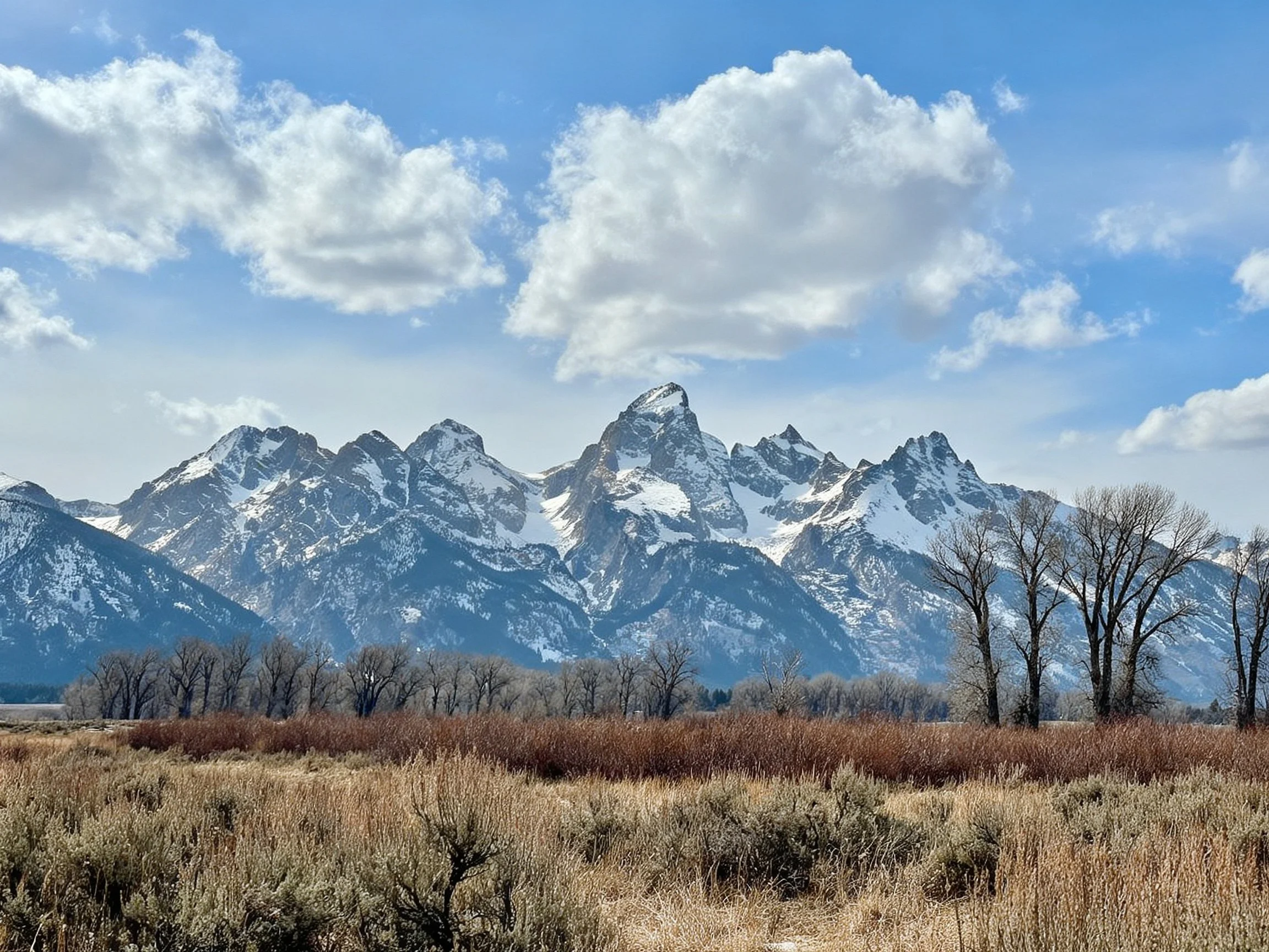 Snow-dusted mountain range overlooks dry vegetation and leafless trees