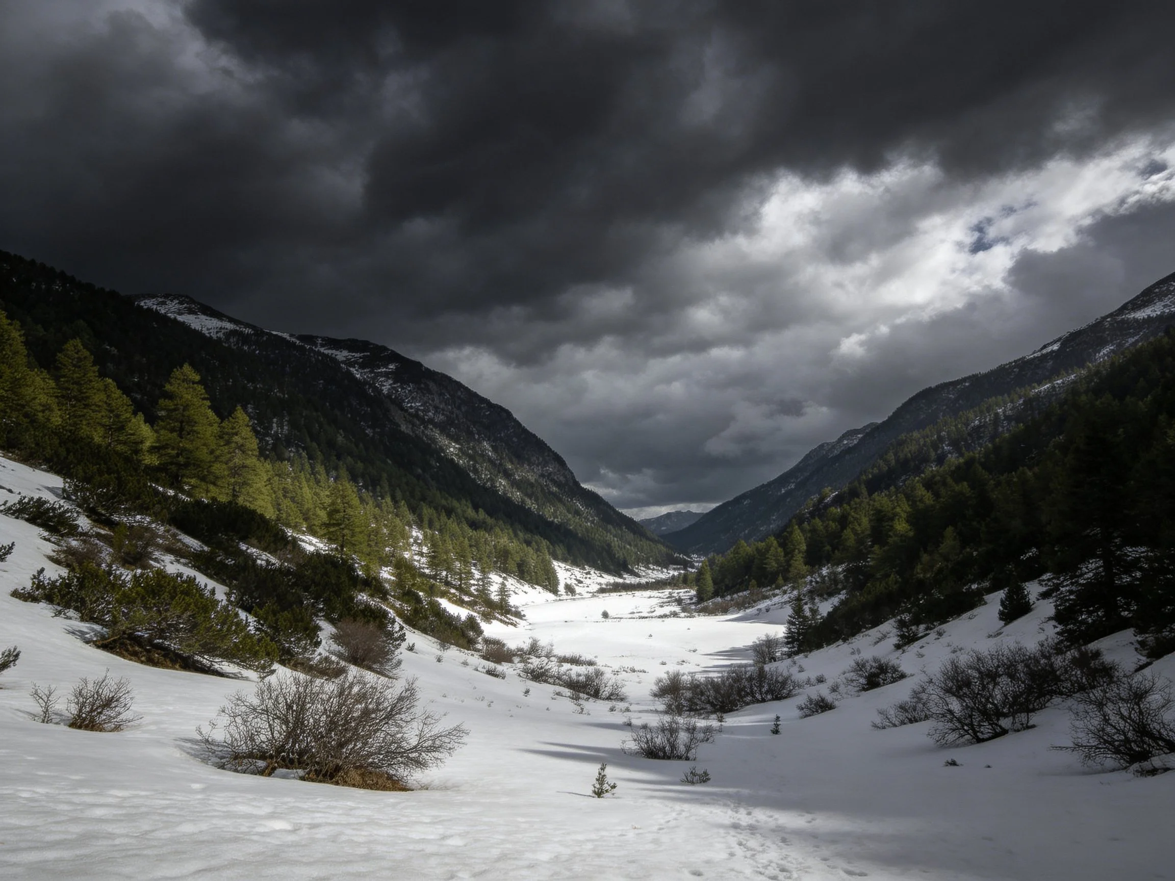 Snow-filled valley with dark stormy sky and forested mountains
