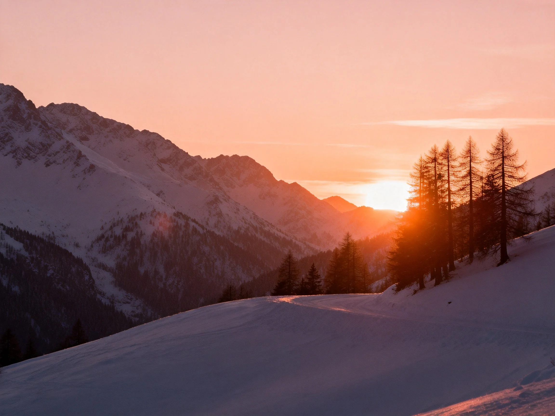 Snowy mountain peaks at sunset with silhouetted trees