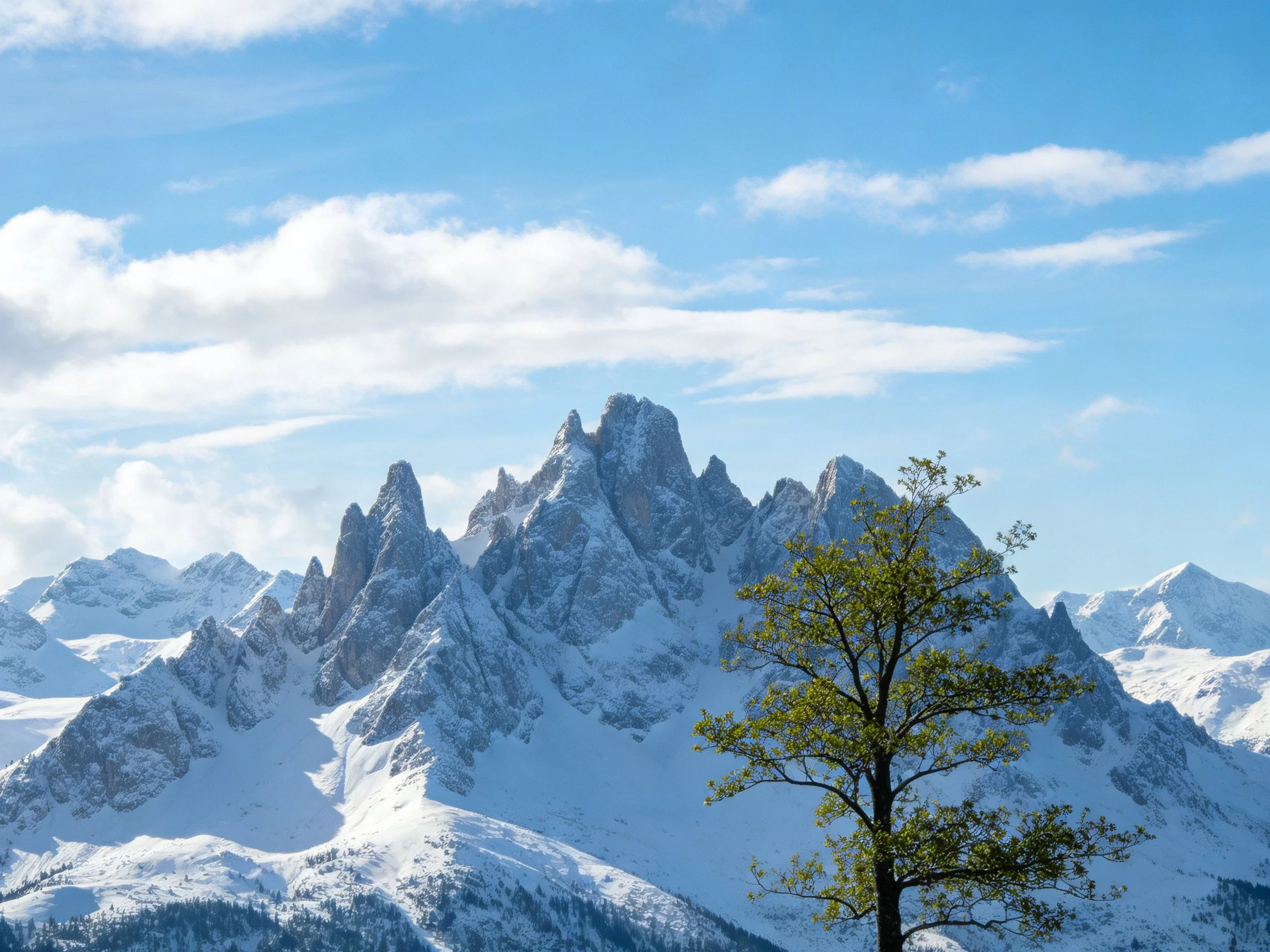 Snowy mountain range with jagged peaks and a lone green tree