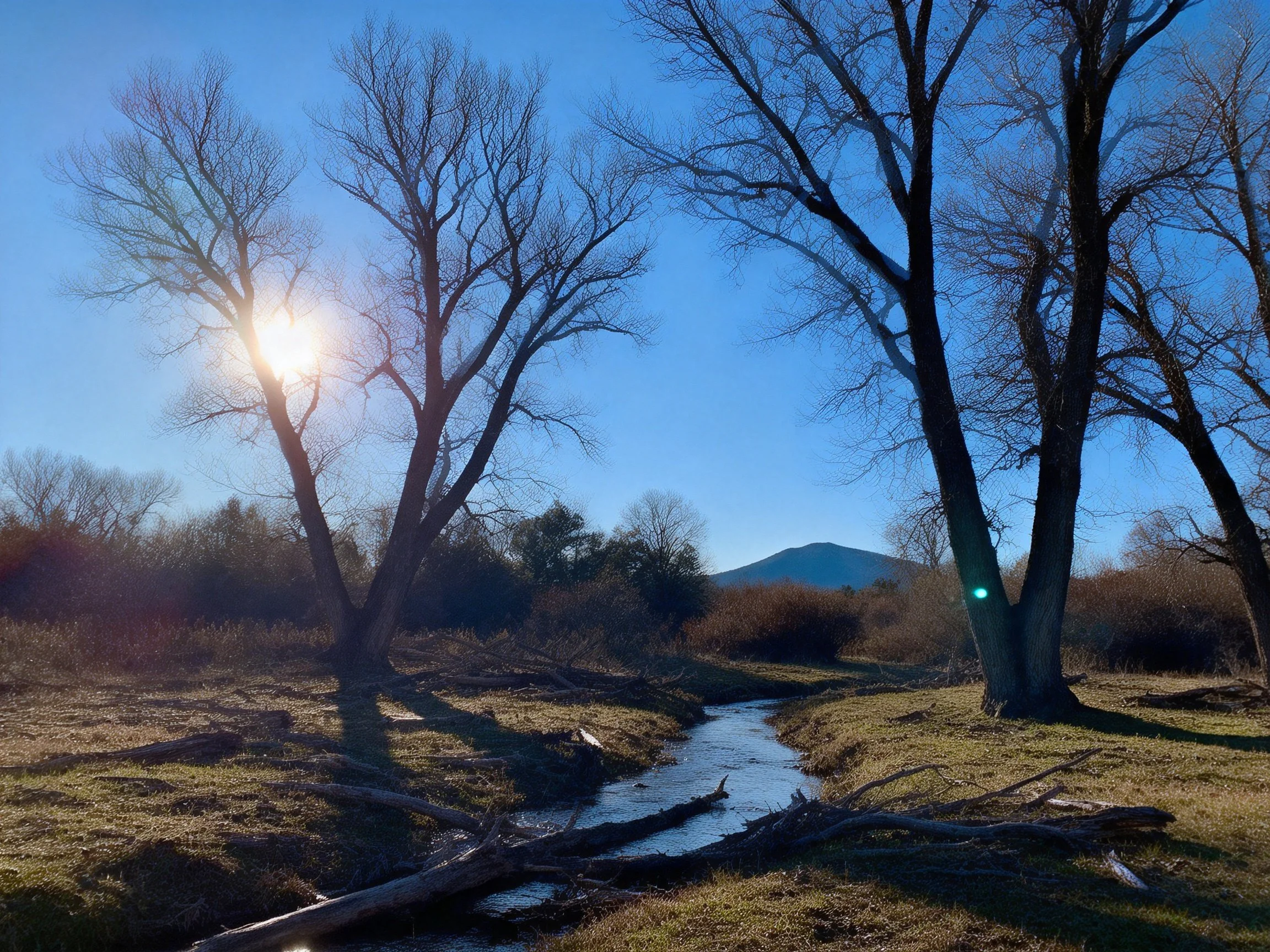 Sunlit Stream Flows Through Area With Bare Trees Near Distant Mountain