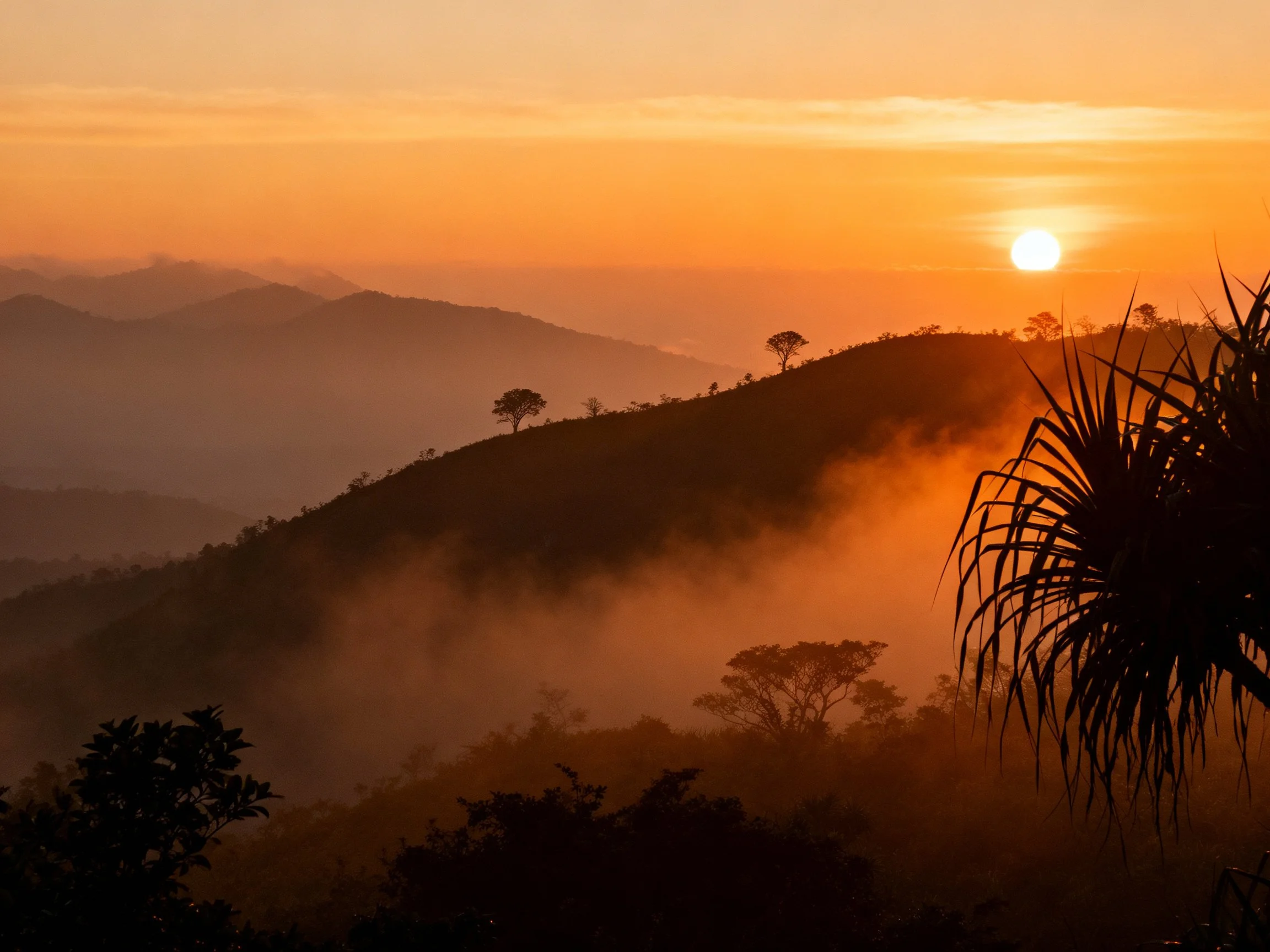 Sunset Illuminates Mist-Covered Mountain Range with Silhouetted Trees