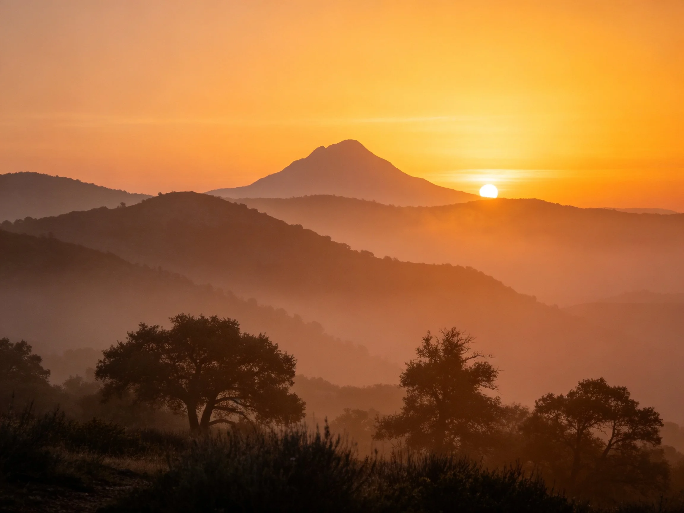 Sunset glow illuminates layered mountain range with silhouetted trees
