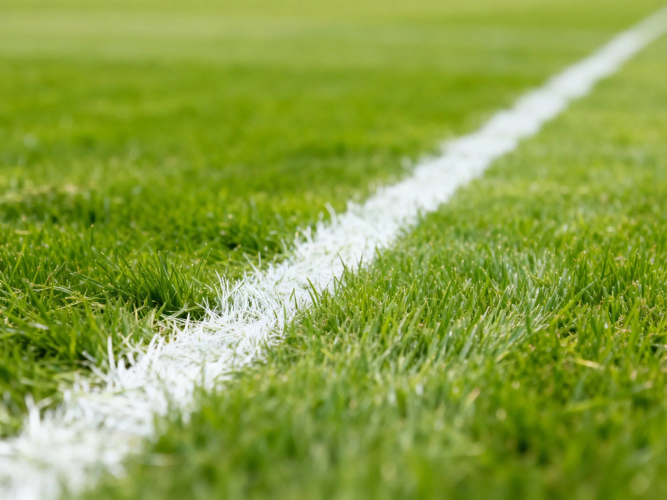 The image presents a close - up view of a sports field’s grassy surface, featuring