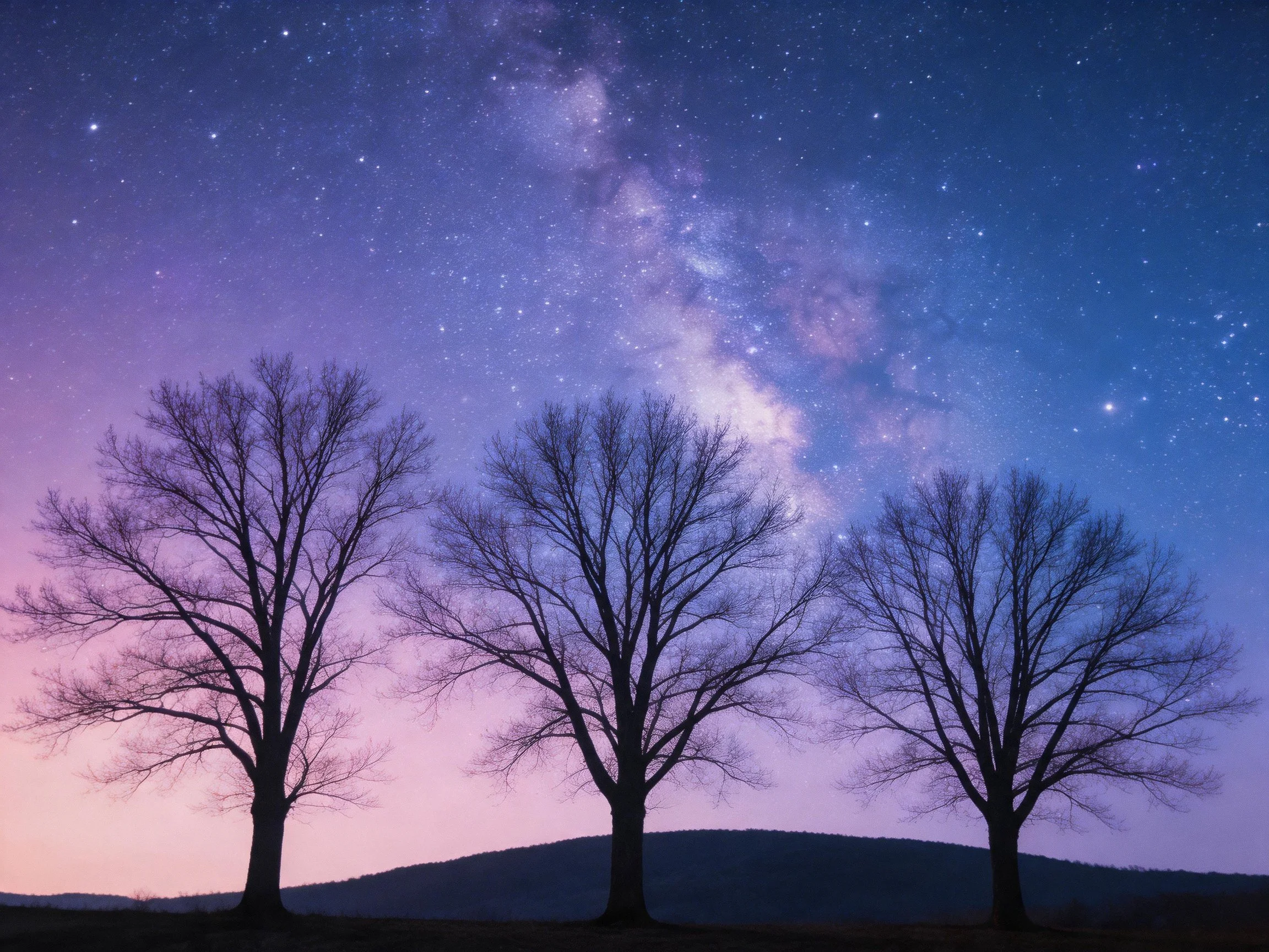 Three bare trees silhouetted against a starry, colorful night sky