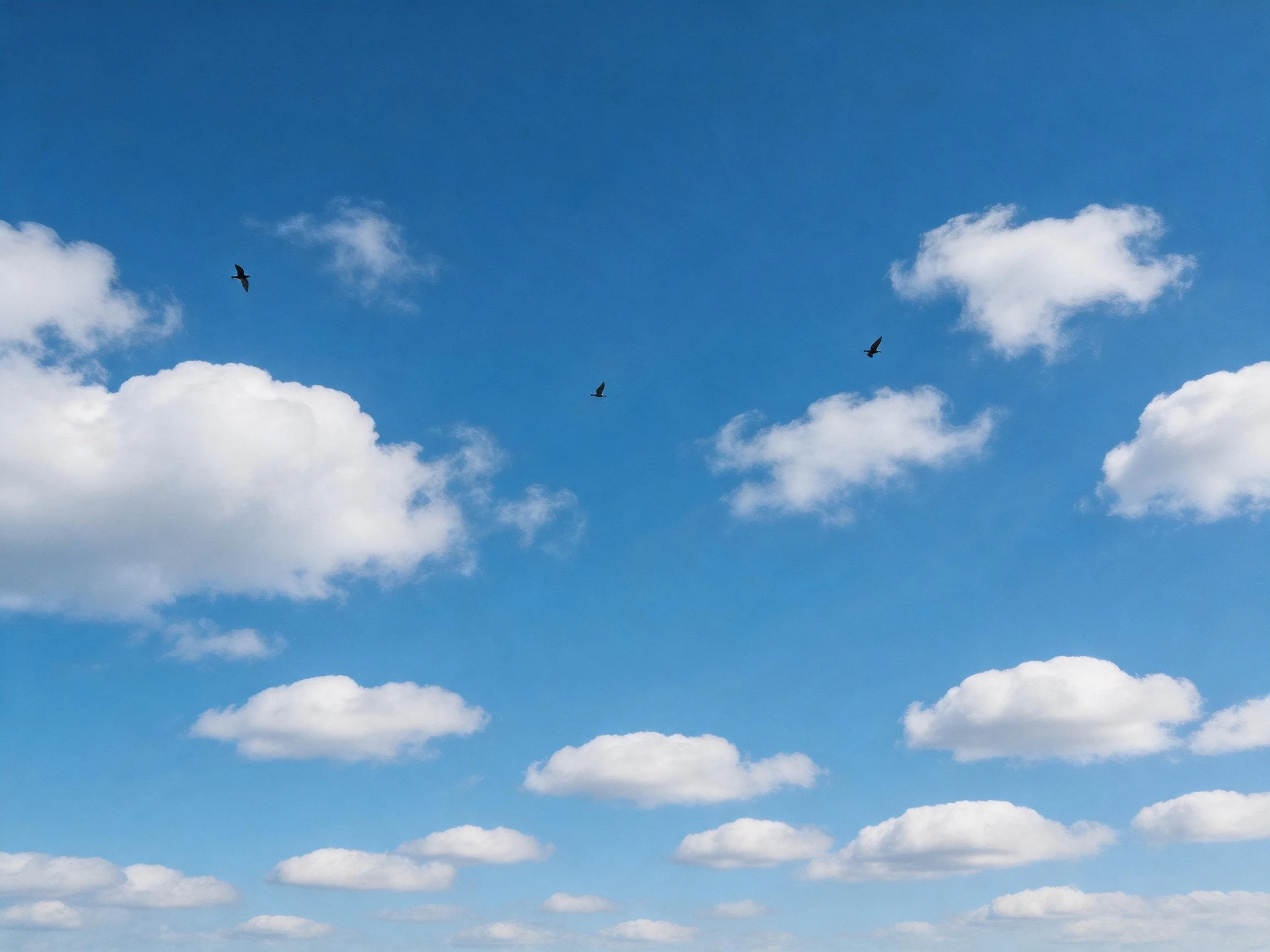 Three birds flying among fluffy white clouds in bright blue sky
