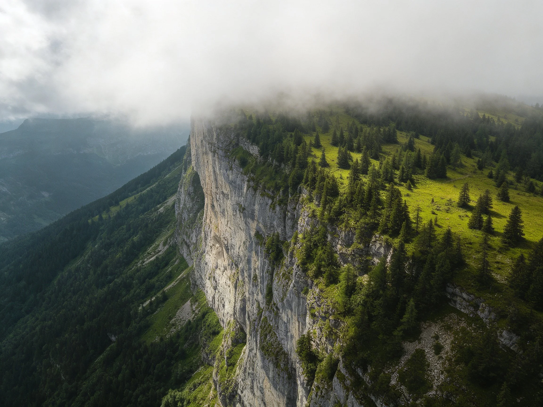 Towering cliffside with lush forest and misty mountain peaks