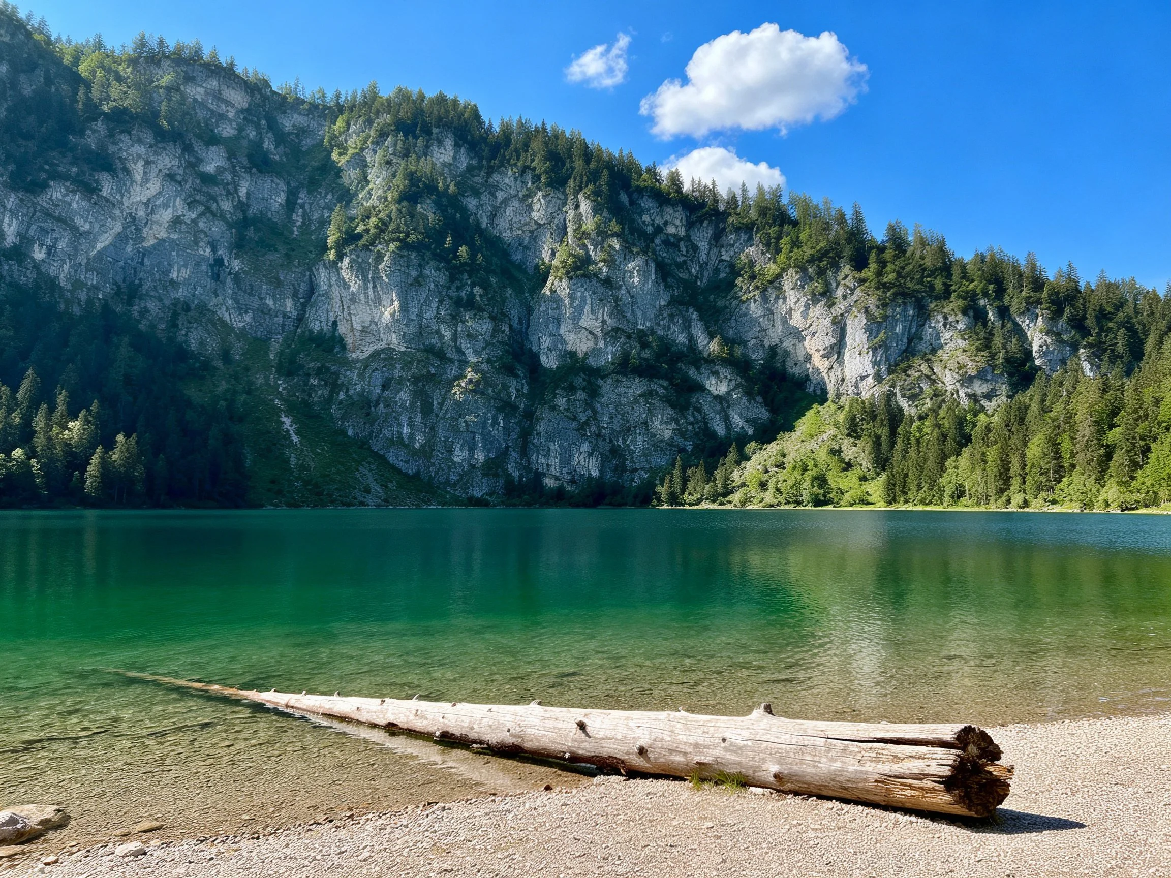 Turquoise lake near rocky cliffs with forest and a fallen log