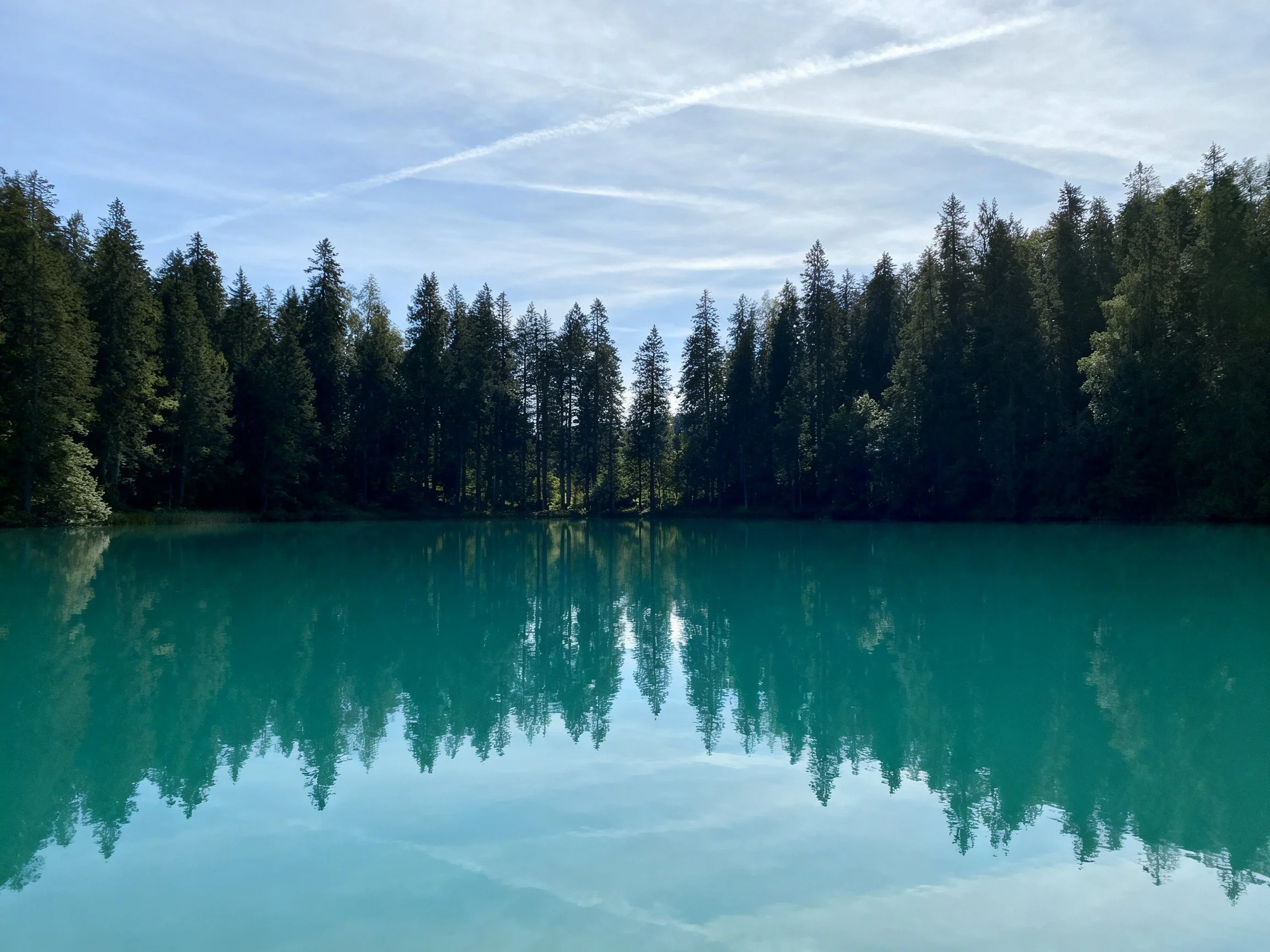 Turquoise lake reflecting dense evergreen forest under bright sky