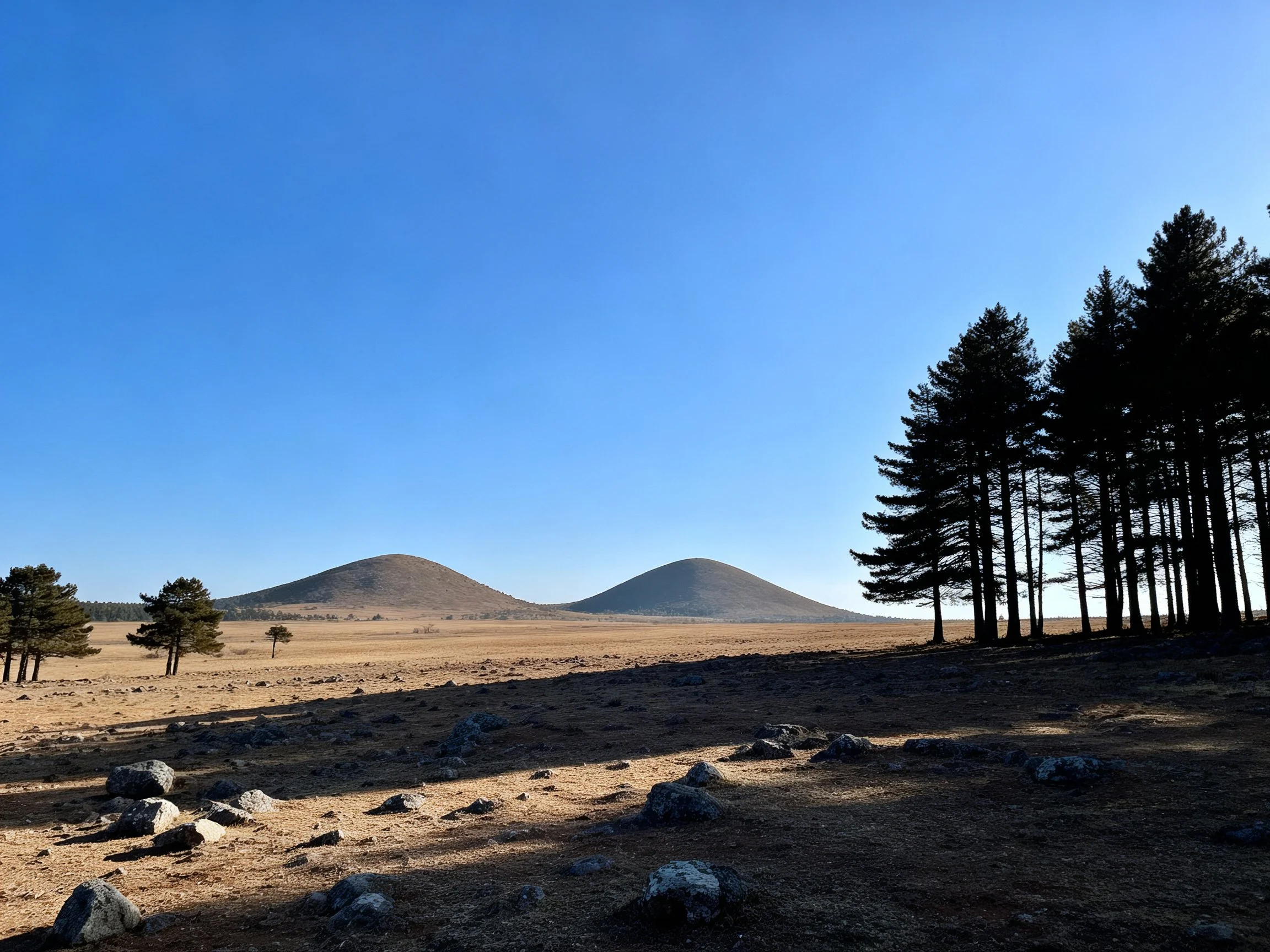 Two rounded hills overlook an open field with scattered rocks and pine trees