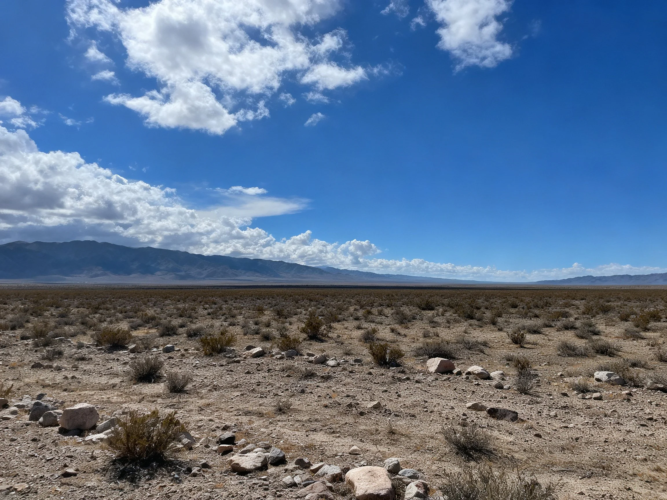 Vast arid plain with scattered shrubs, rocks, and distant mountains under bright blue sky