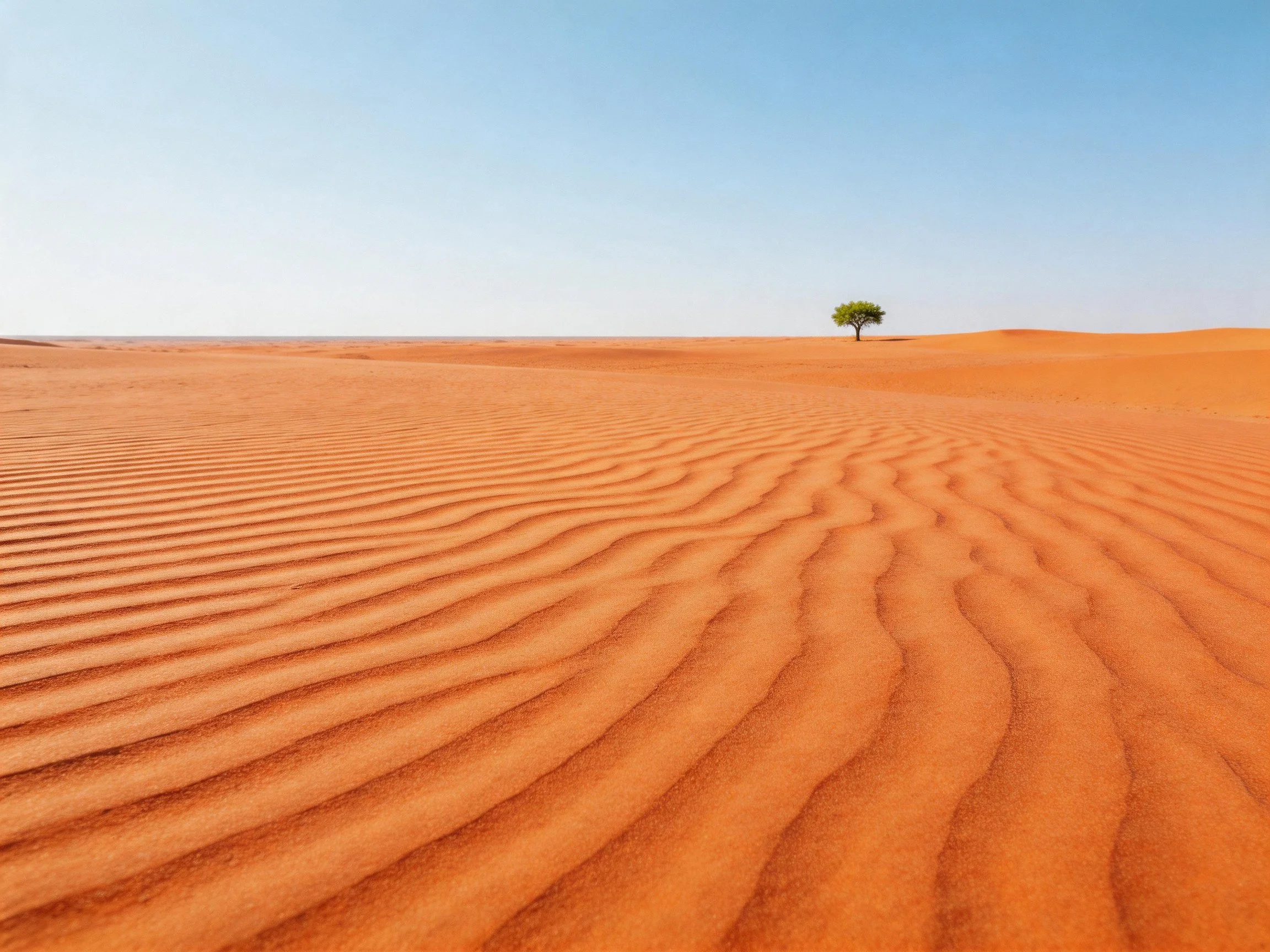 Vast orange sand dunes with a solitary green tree under clear blue sky