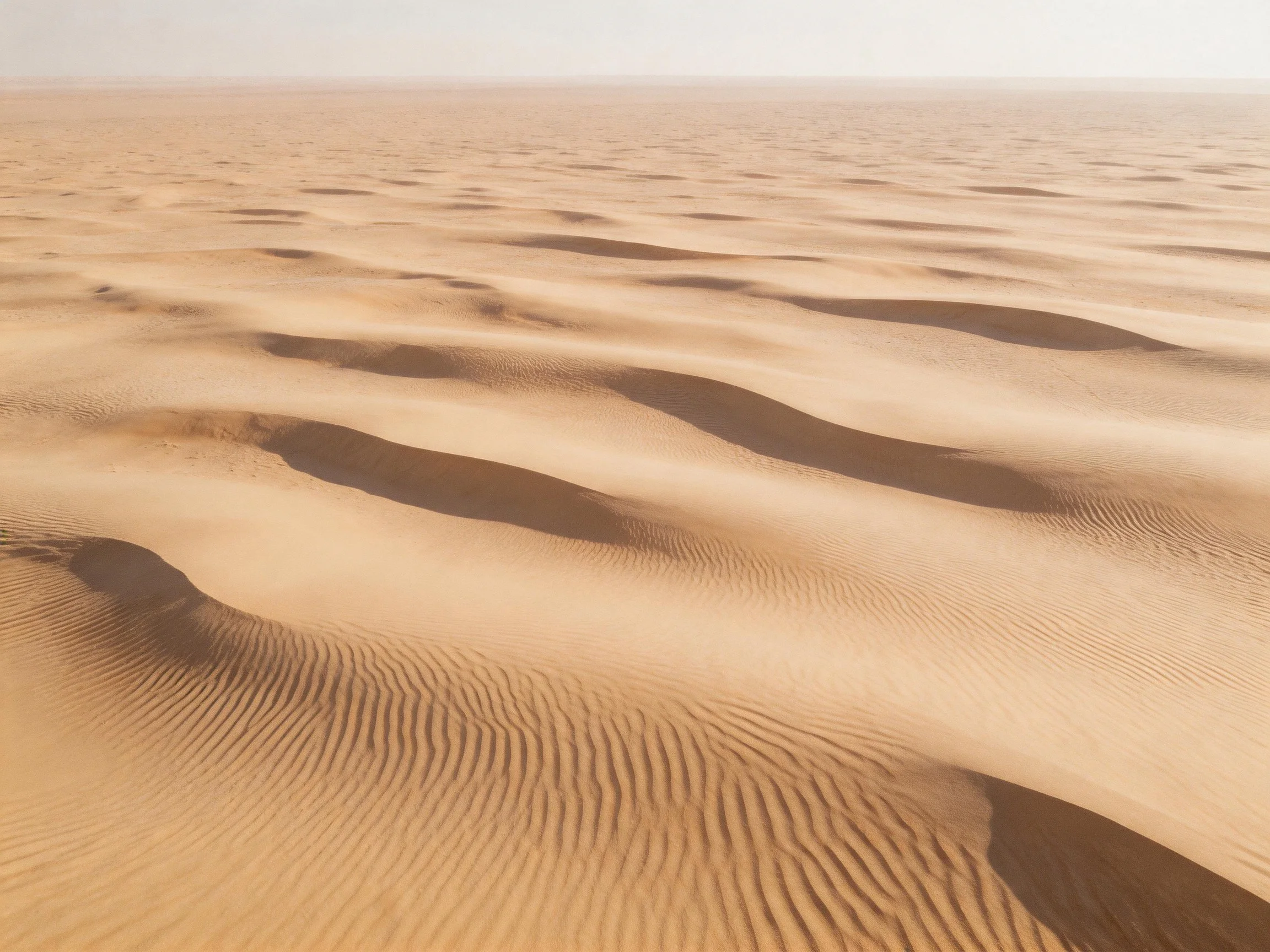 Vast sandy desert with undulating dunes and warm beige hues