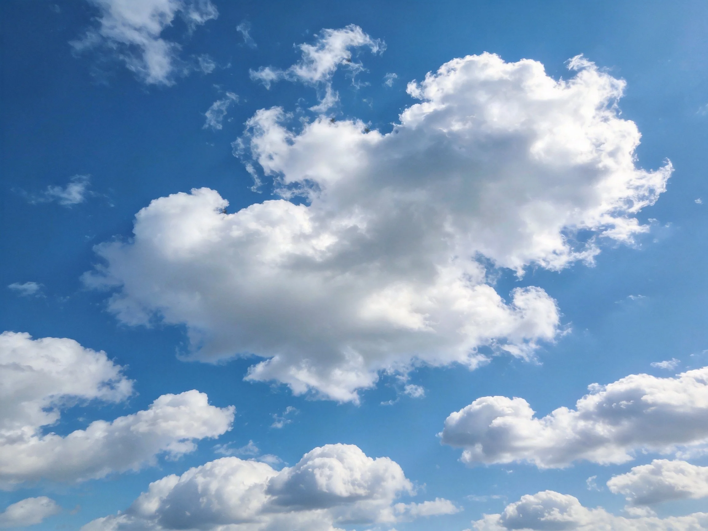 Vibrant blue sky with numerous fluffy white clouds