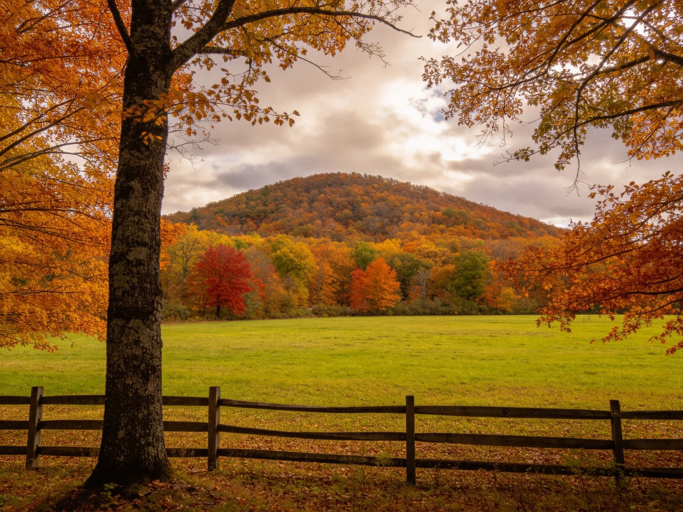 Vibrant fall foliage, open green meadow, and forested hill