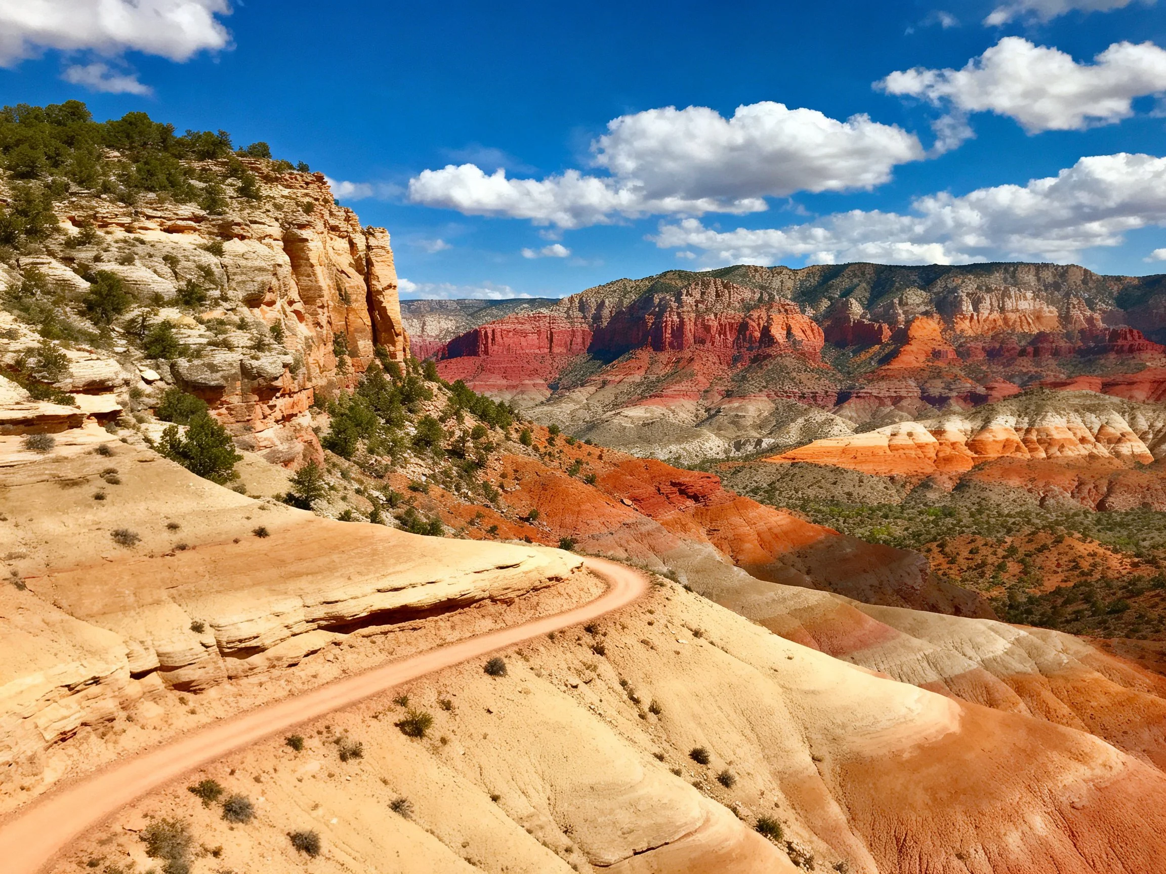Vibrant multicolored canyon with winding dirt road