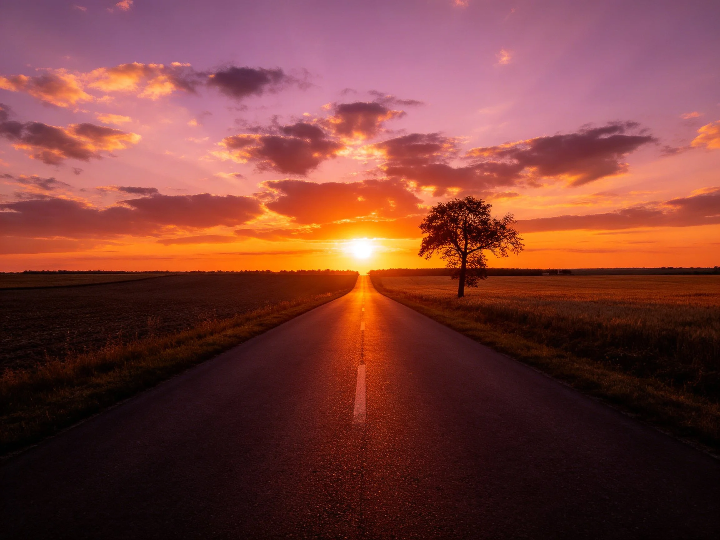 Vibrant sunset over an empty road with a lone tree