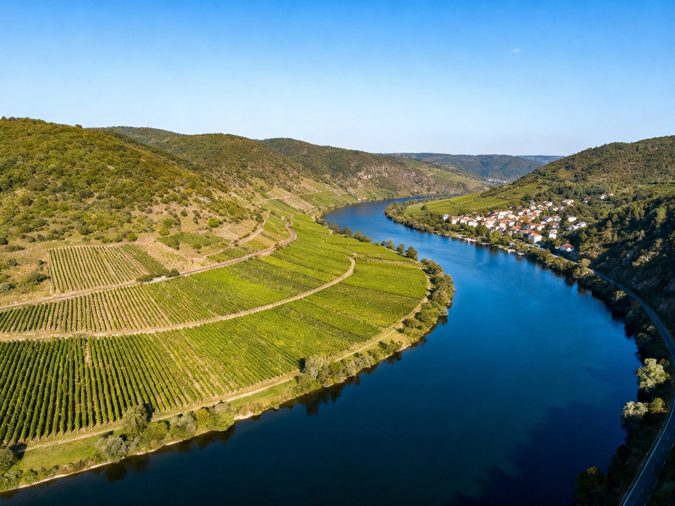 Winding River Flows Past Terraced Vineyards and Forested Hills