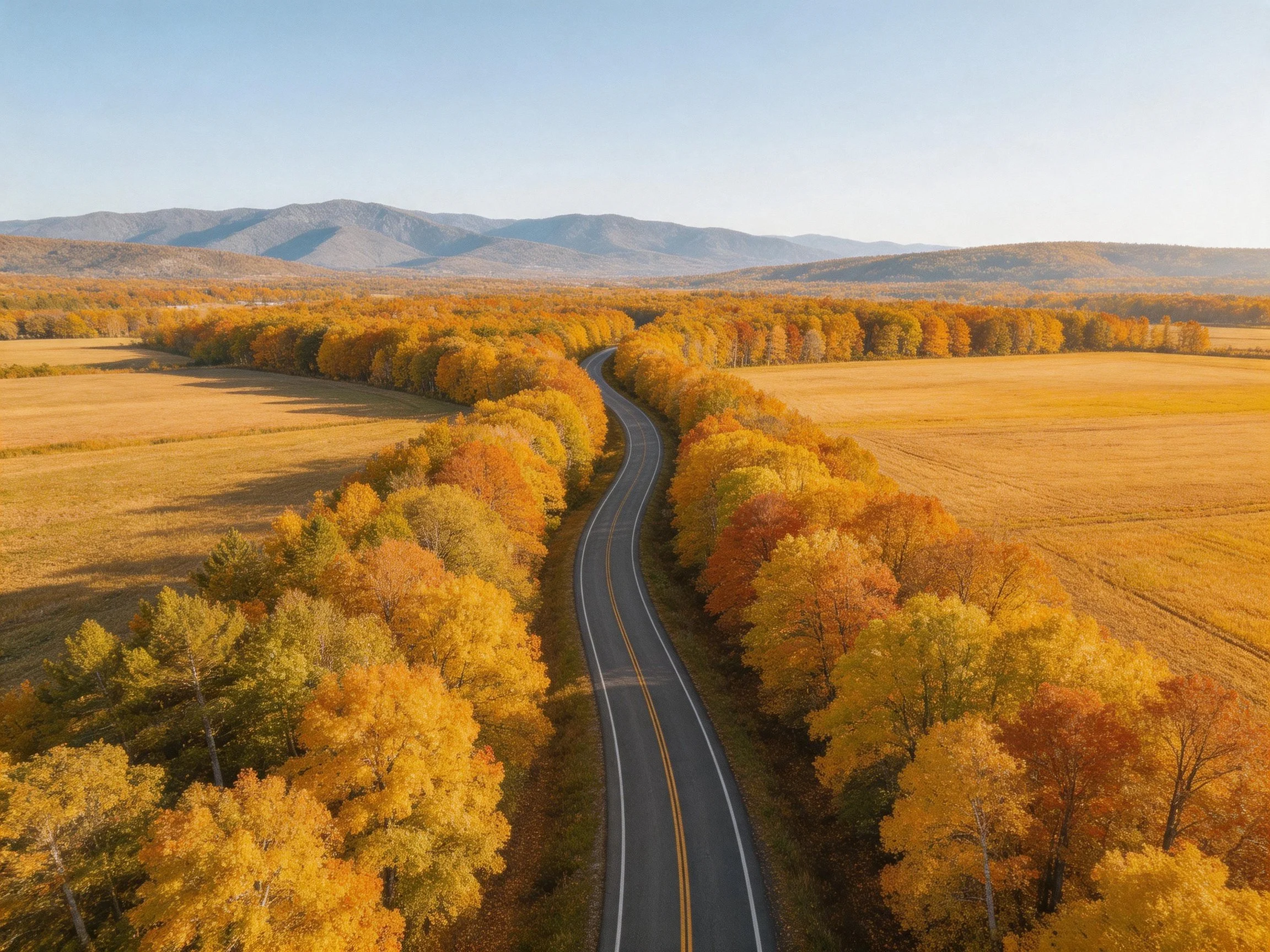 Winding Road Through Autumn Forests and Golden Fields