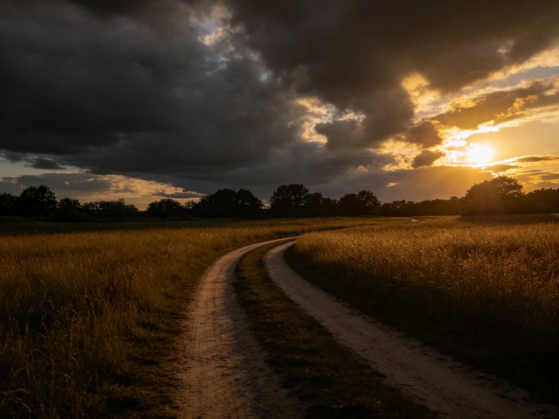 Winding dirt path through golden fields under dramatic sunset skies