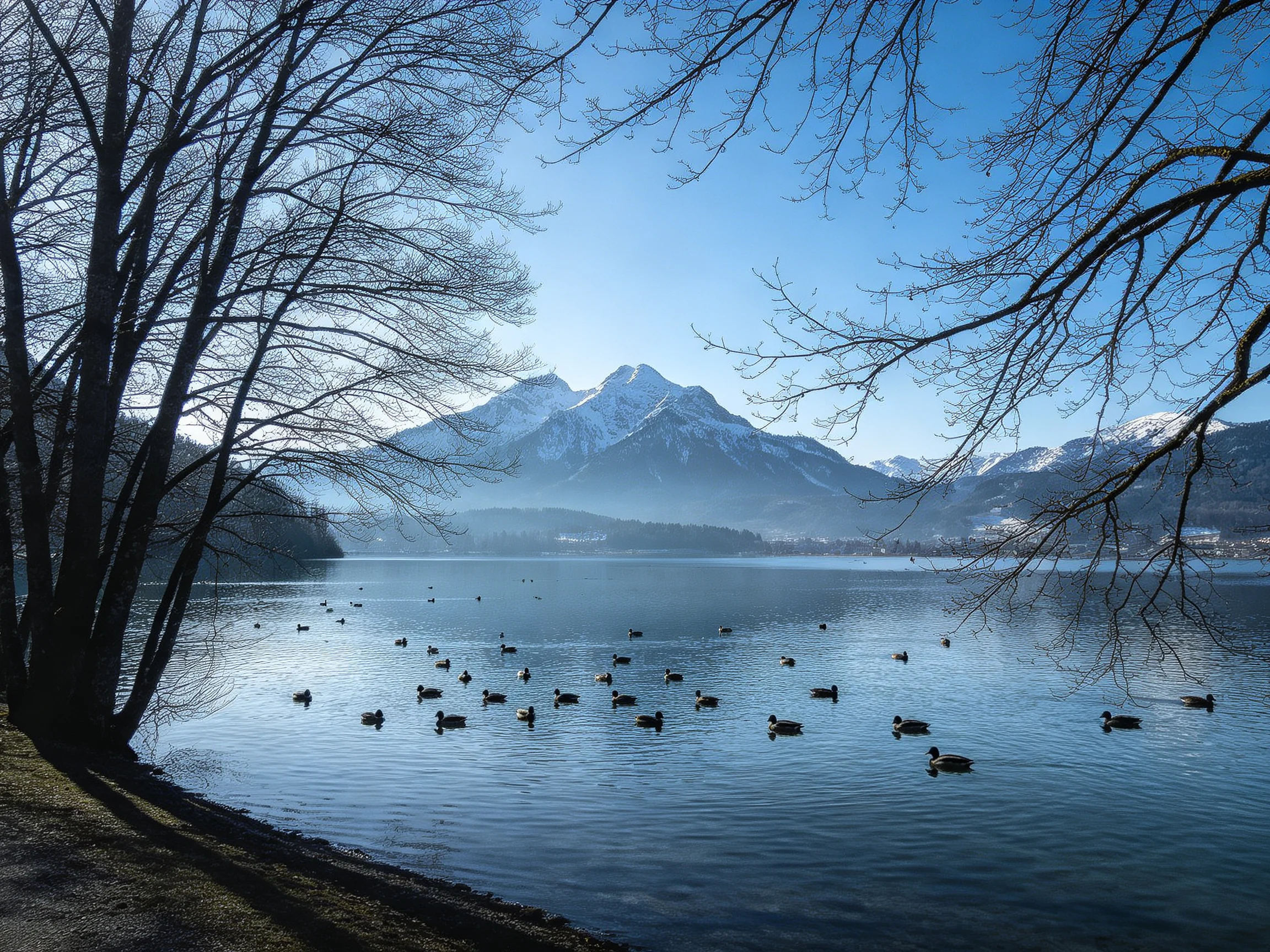 Snow-capped mountains loom over a duck-filled lake with bare trees framing the shore