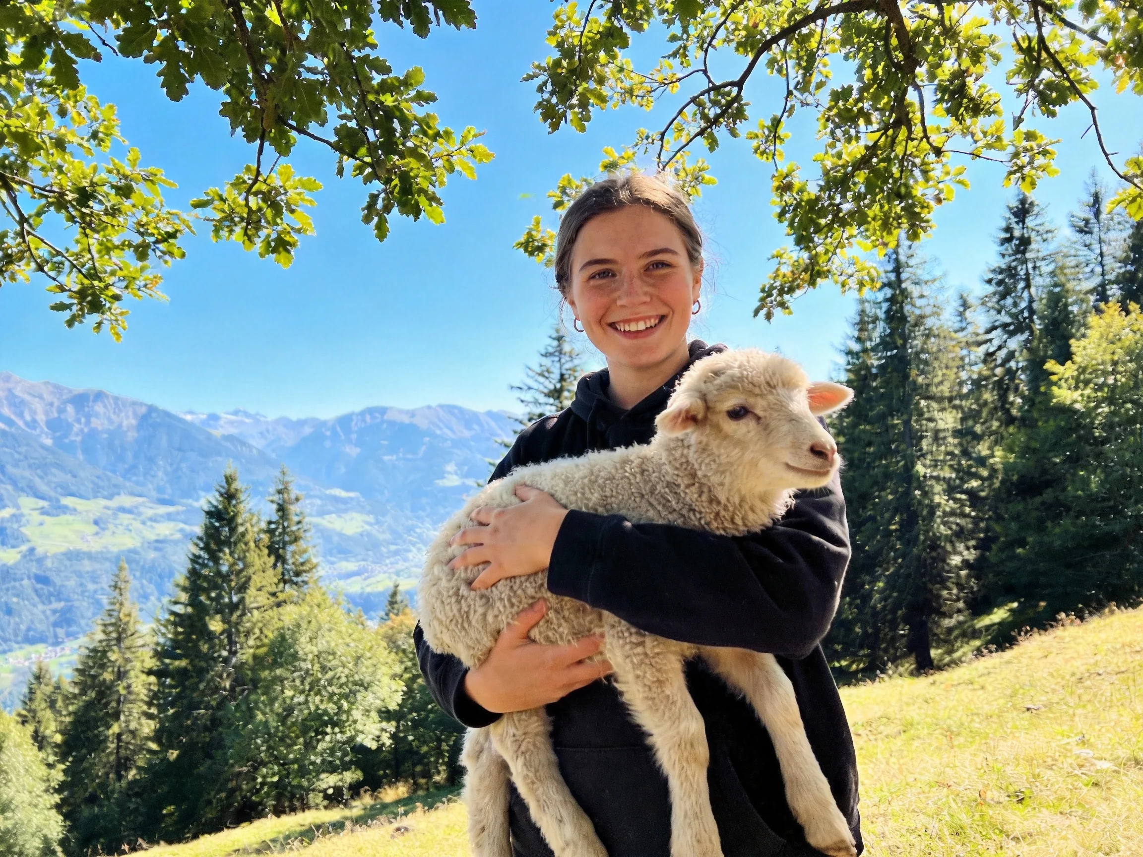 A person holding a woolly lamb near mountainous forest scenery