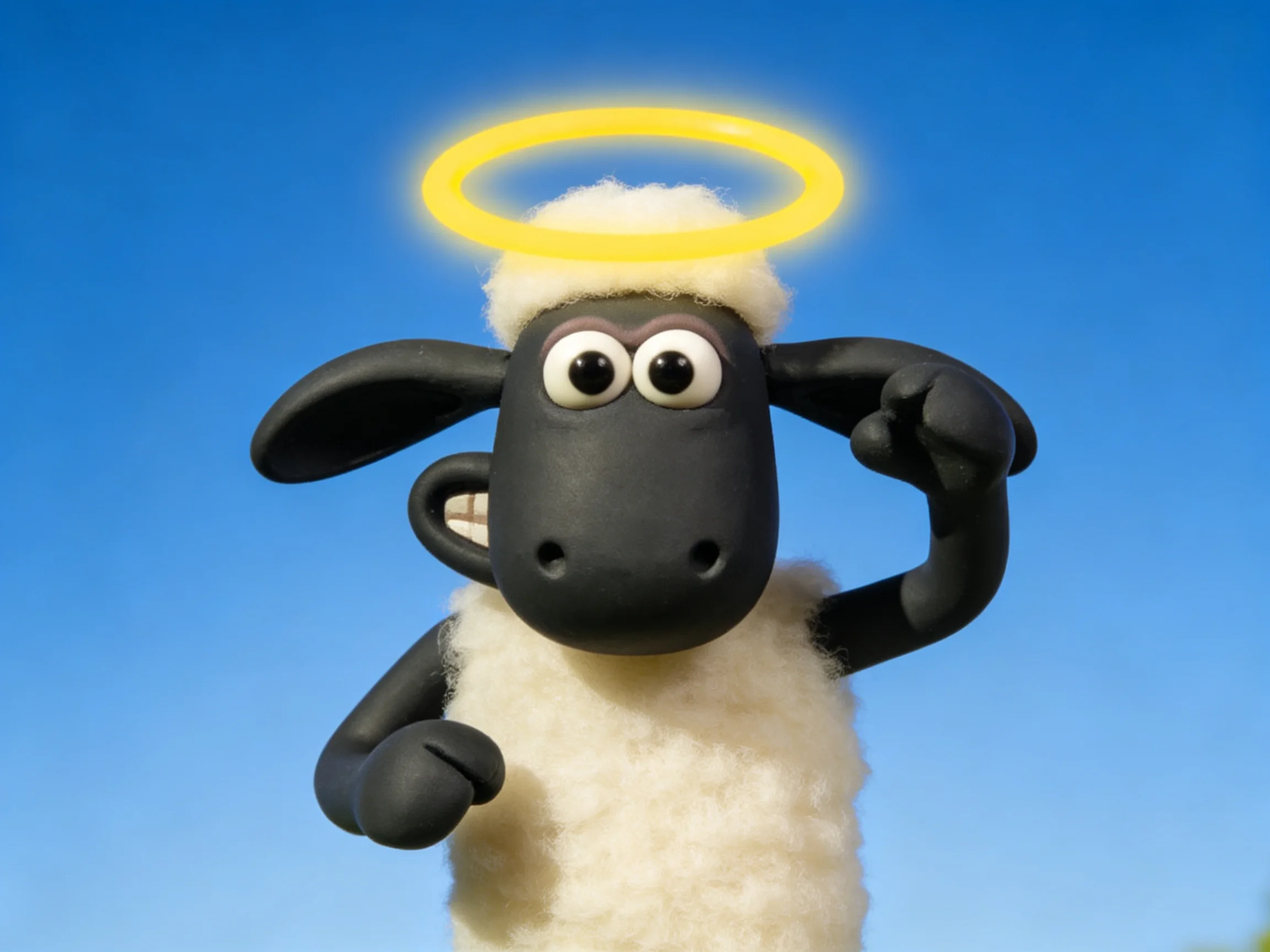 Black-faced sheep with white wool and yellow halo