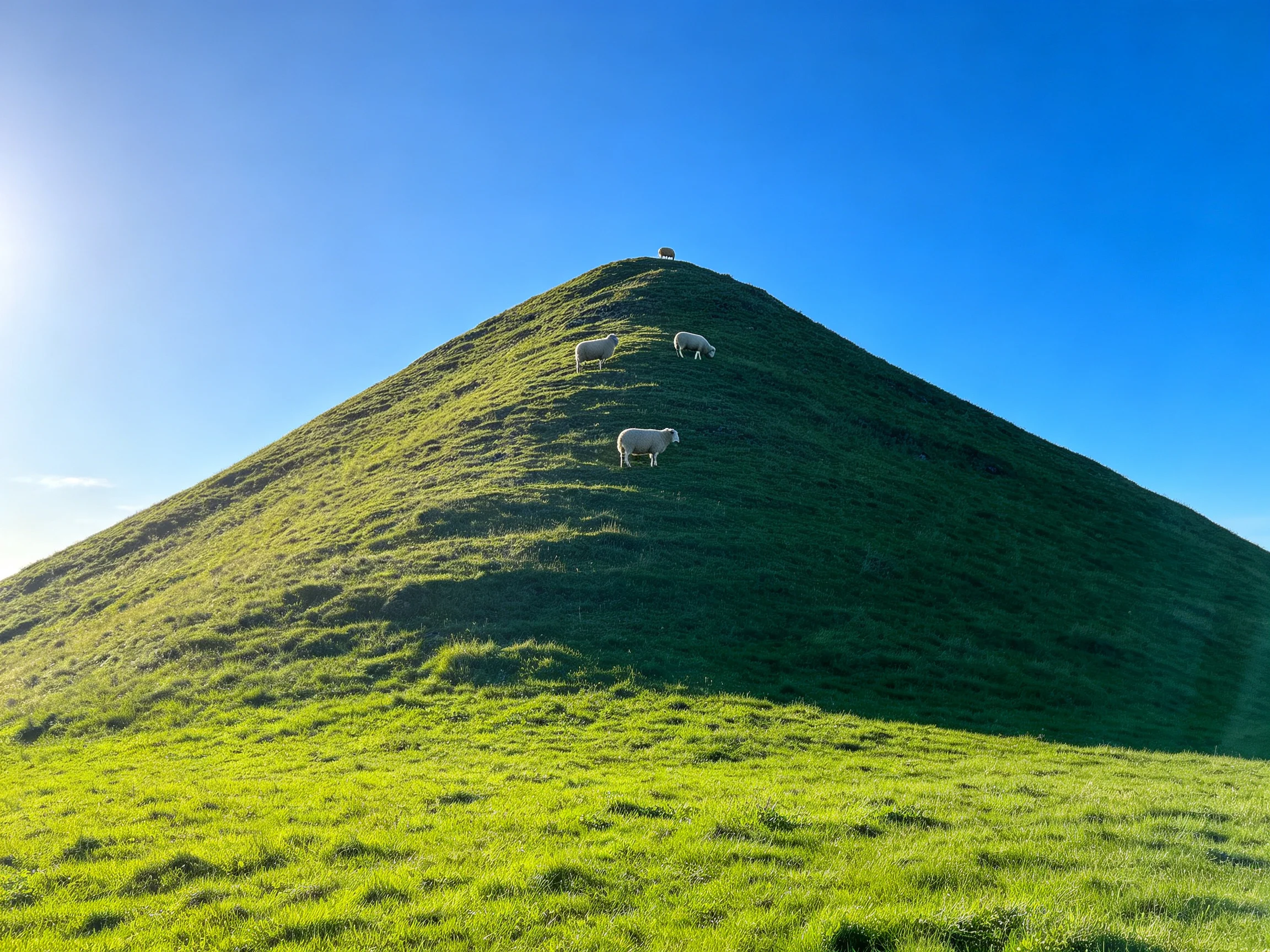 Three sheep move across a large green mound beneath a bright blue sky.